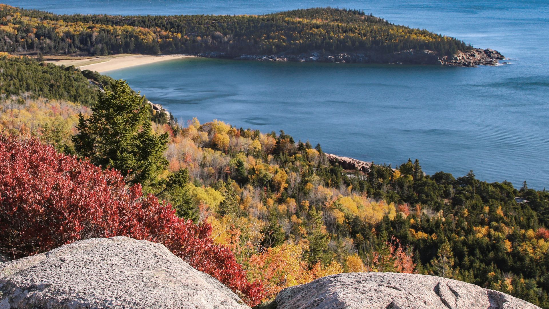 Sand Beach Cove and Great Head from Gorham Mountain, Acadia National Park, Maine, United States.