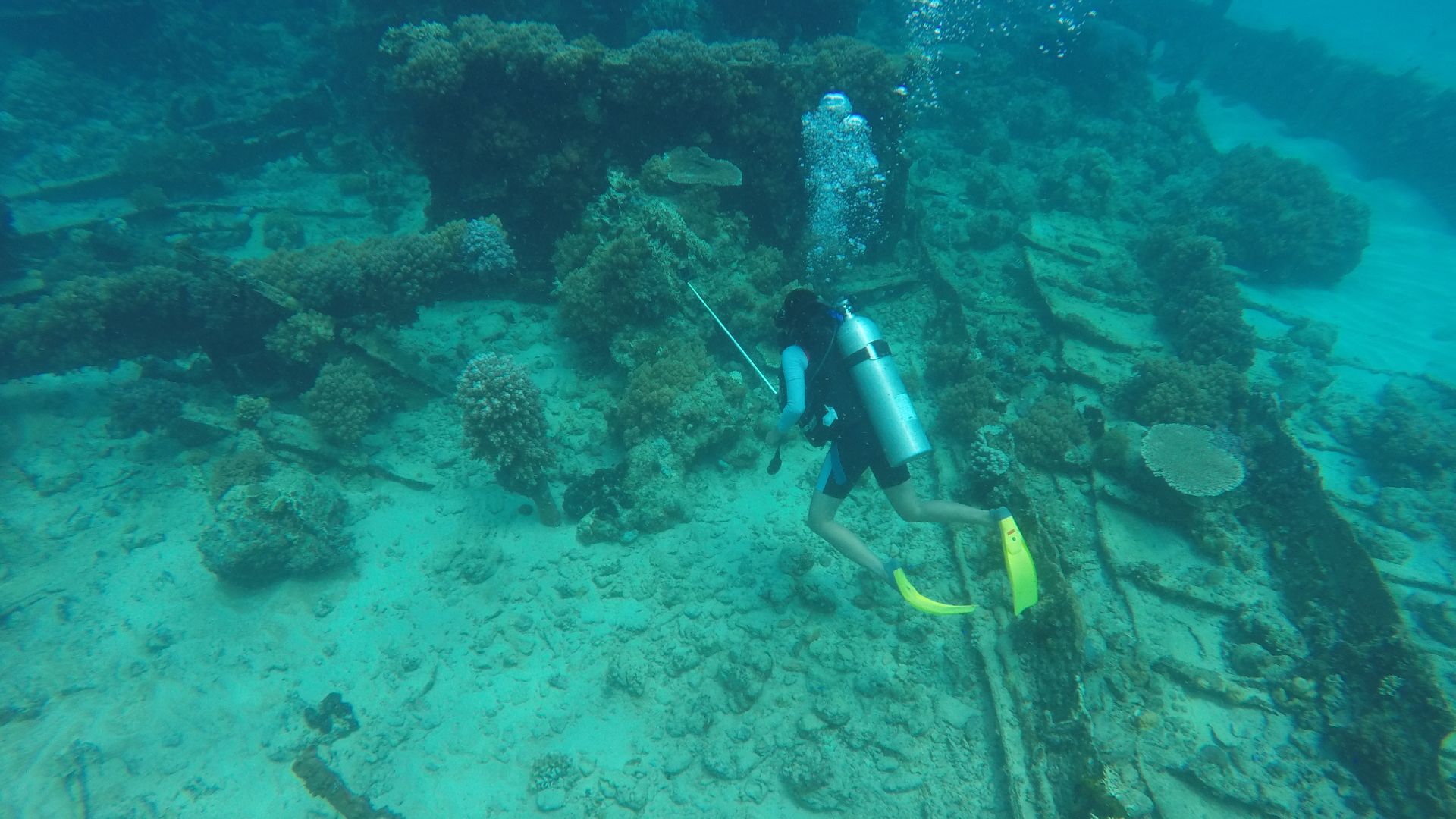 This is a shipwreck site in the waters of the island of Sagori, Bombana Regency, Southeast Sulawesi, which is the subject of underwater archeology research. This shipwreck has a historical record in 1890. Sagori Island is famous as the Bermuda Triangle fr
