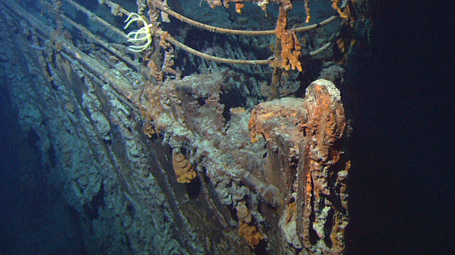 View of the bow of the RMS Titanic photographed in June 2004 by the ROV Hercules during an expedition returning to the shipwreck of the Titanic.