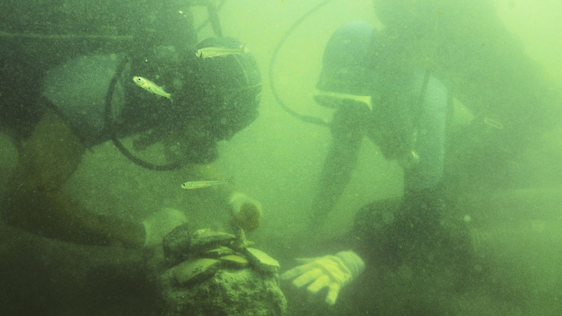 hanagoria is Russia's largest archaeological monument of the ancient era, located on the Taman Peninsula. In the photo: underwater archaeologists are clearing the antique find.