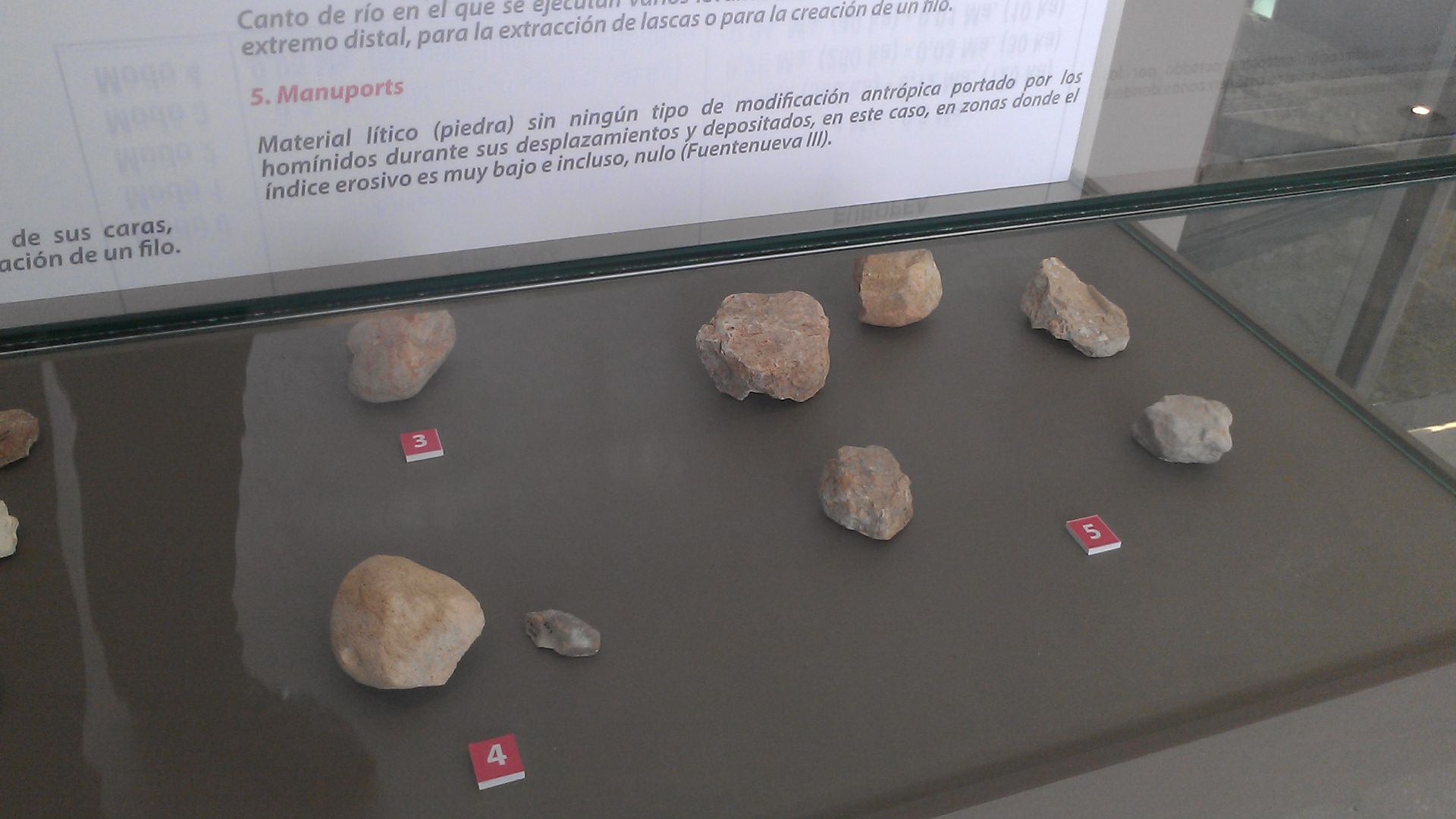 Herramientas de piedra encontradas en los yacimientos de la zona. Museo de Prehistoria de Orce, Granada (España).
Choppers del Modo I, olduvayense.