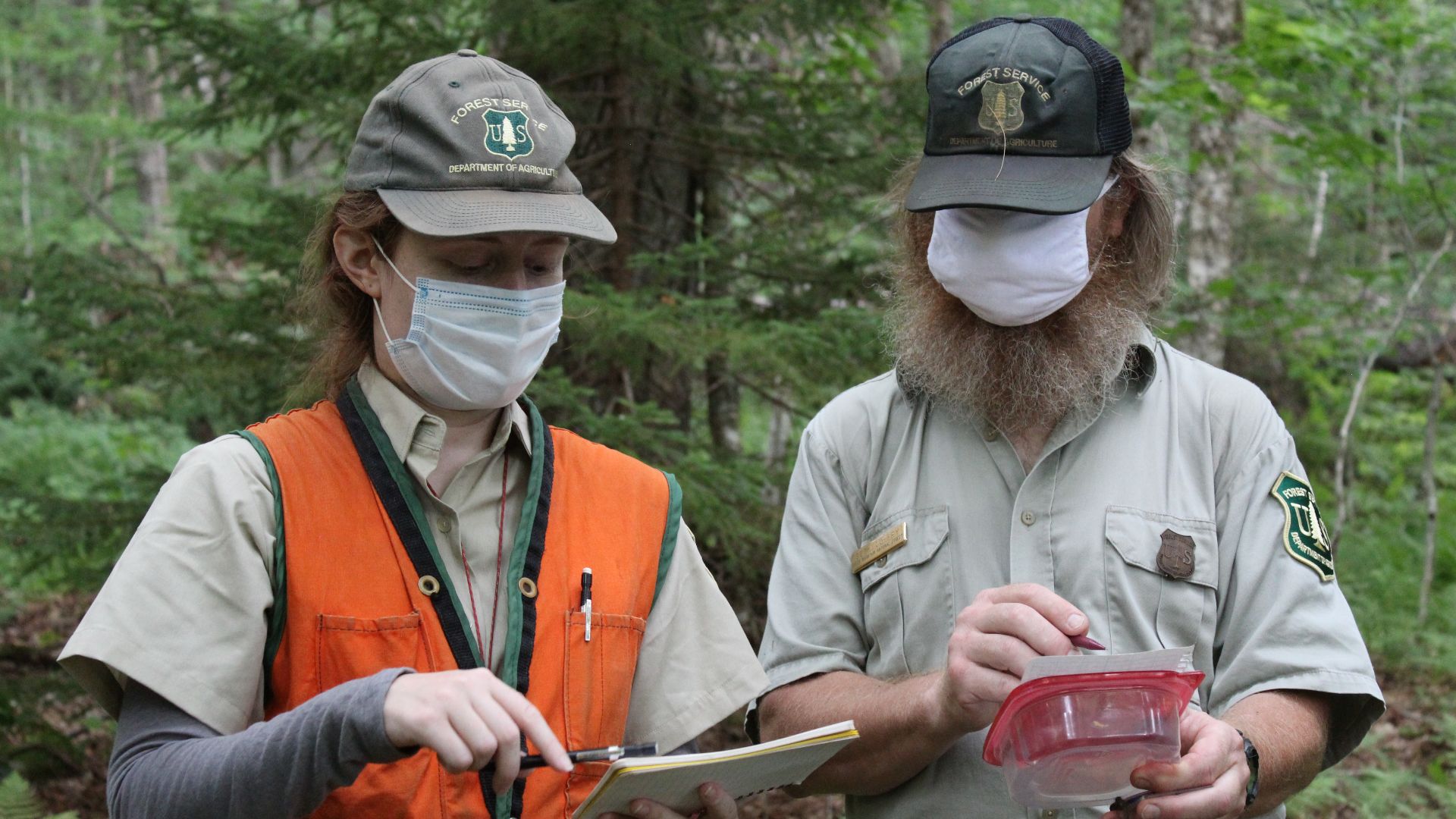 Sarah Skinner (Archeologist, left) explains her drawing of the archeology site to Seth Coffey (Forestry Technician-Recreation, right), who joined the archeology crew in the field for the day on the Green Mountain National Forest, Vermont. USDA Forest Serv