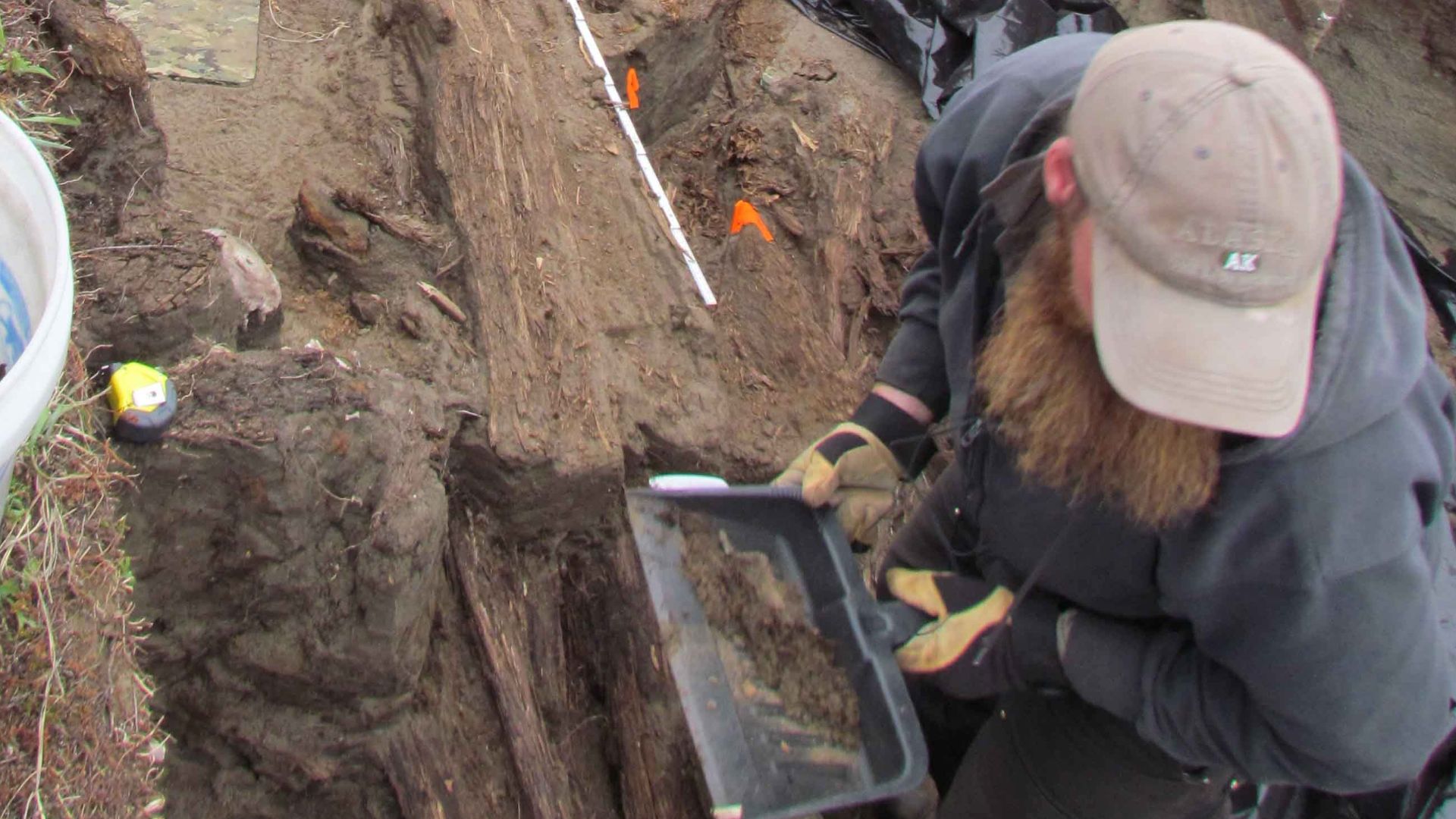 Scientists remove loose soil from an old pit house.
University of Washington archeologists carefully unearth features from a pit house while keeping meticulous records of locations of the items they find.
Keywords: cape krusenstern national monument