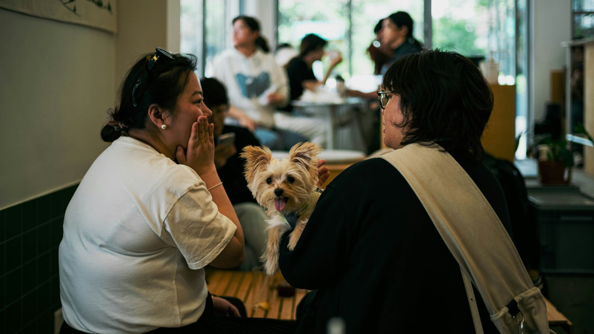 a woman sitting at a table with a small dog