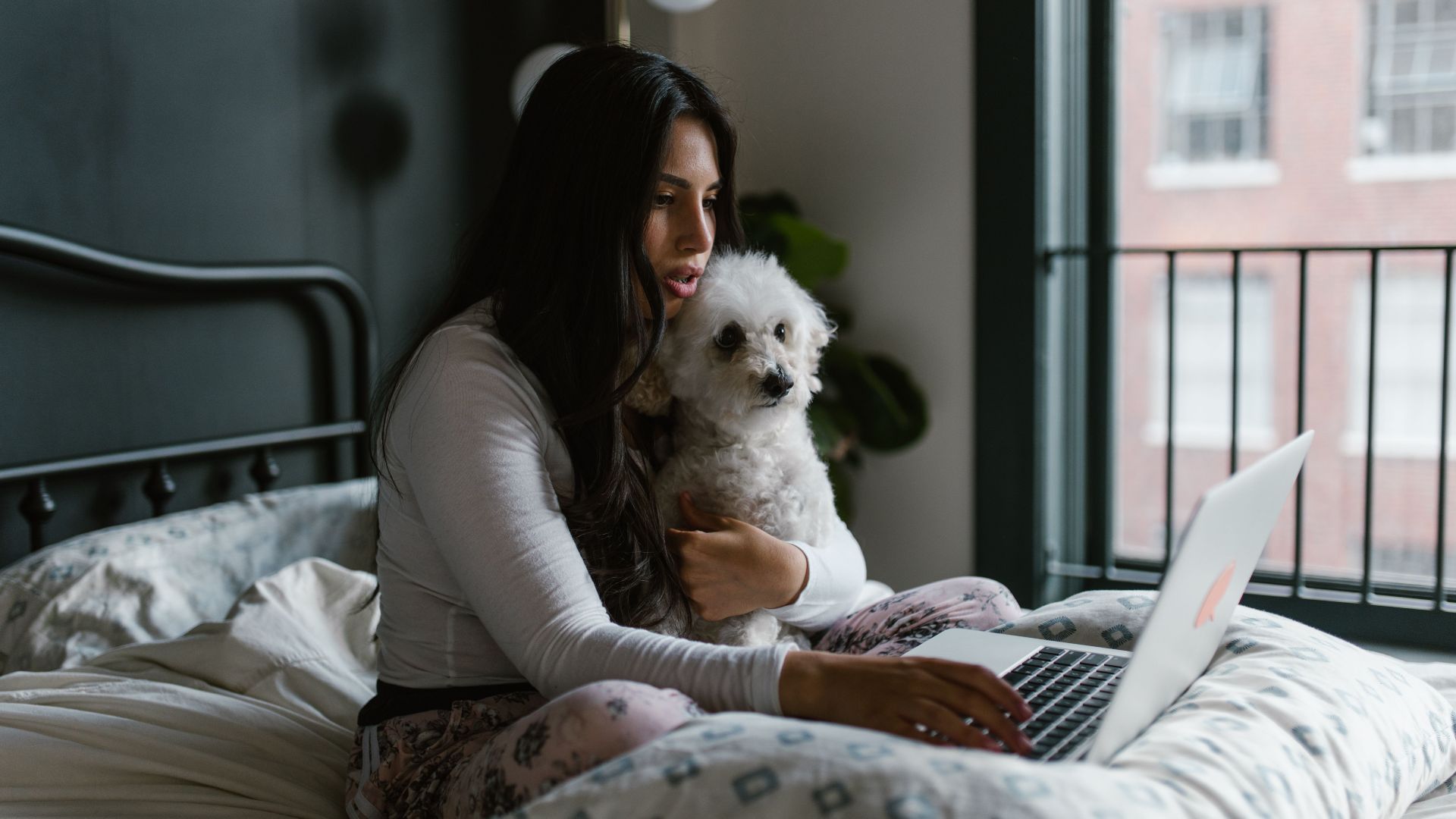 Woman sitting on bed holding a dog, working on a laptop indoors.