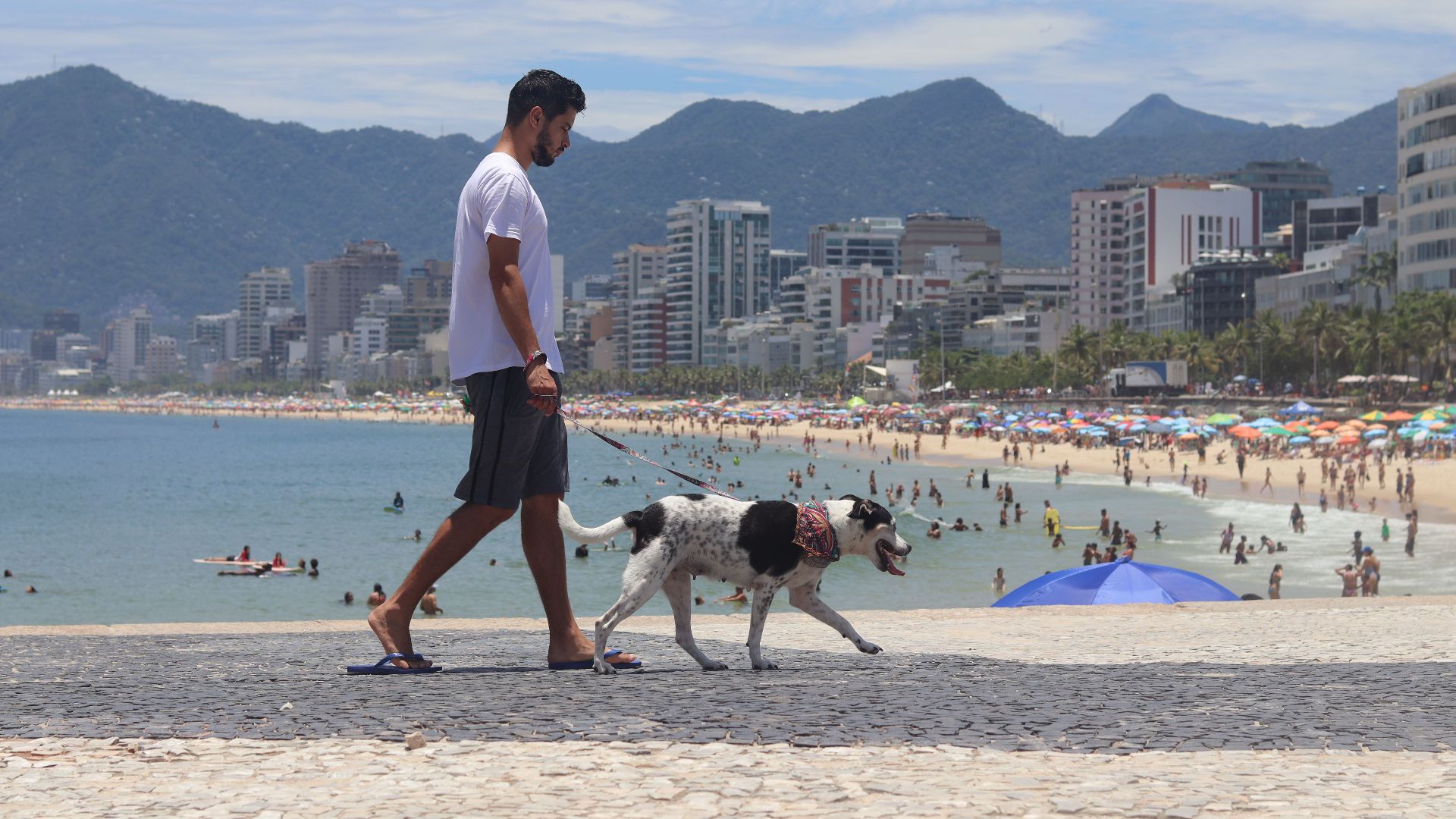A man walks his dog along a bustling Brazilian beach, with mountains and city skyline in the background.