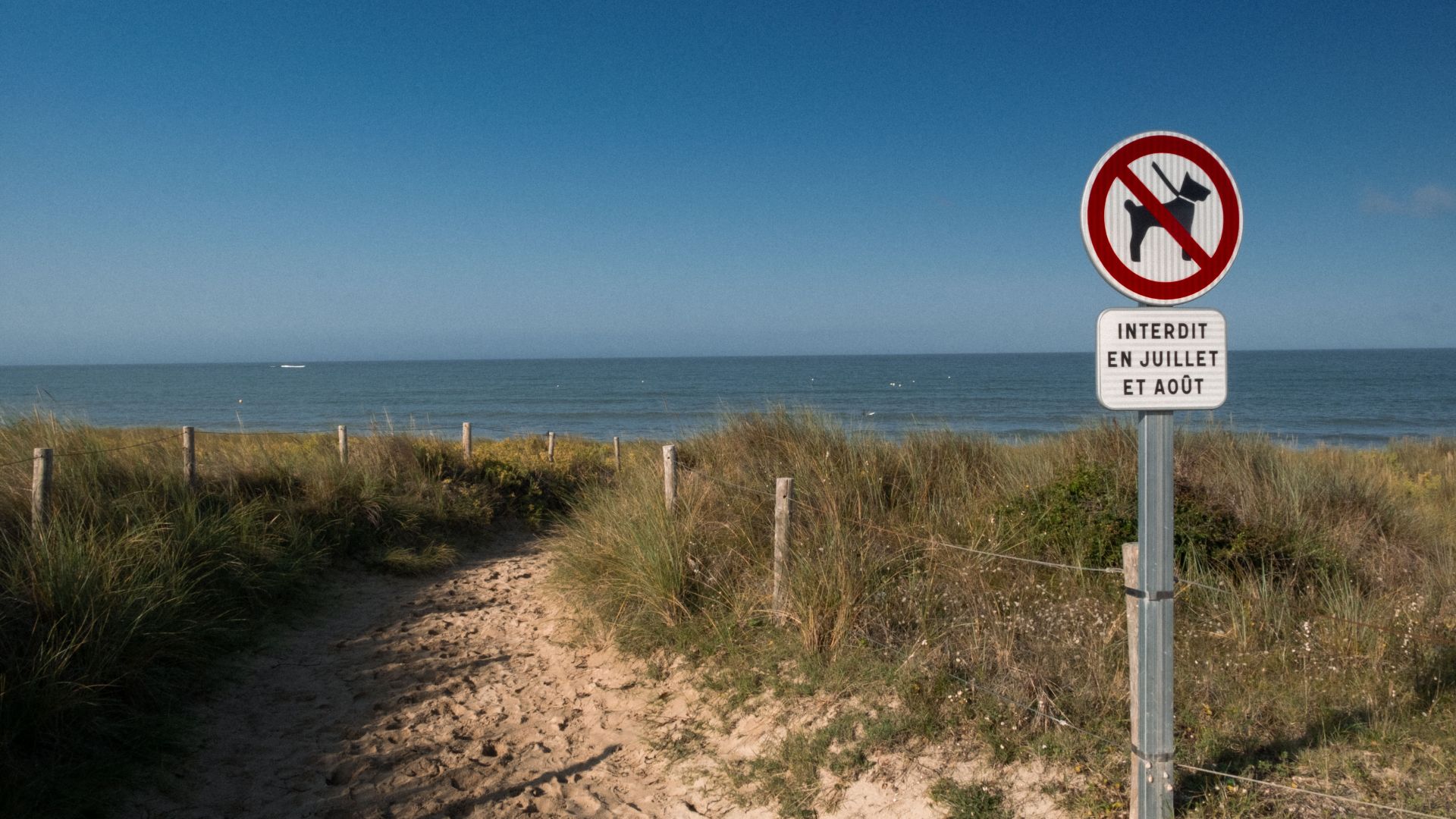 A sandy path leading to the coast with a no dog sign visible during summer months.