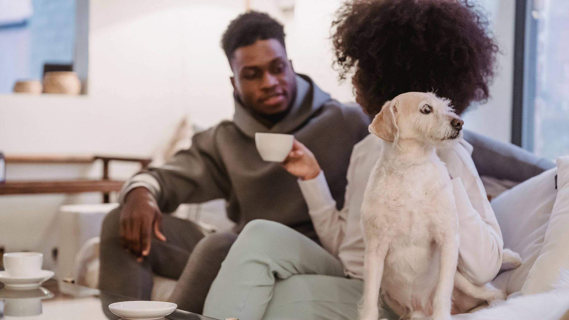 Crop anonymous African American girlfriend with cup of coffee on sofa with funny curious dog in lounge