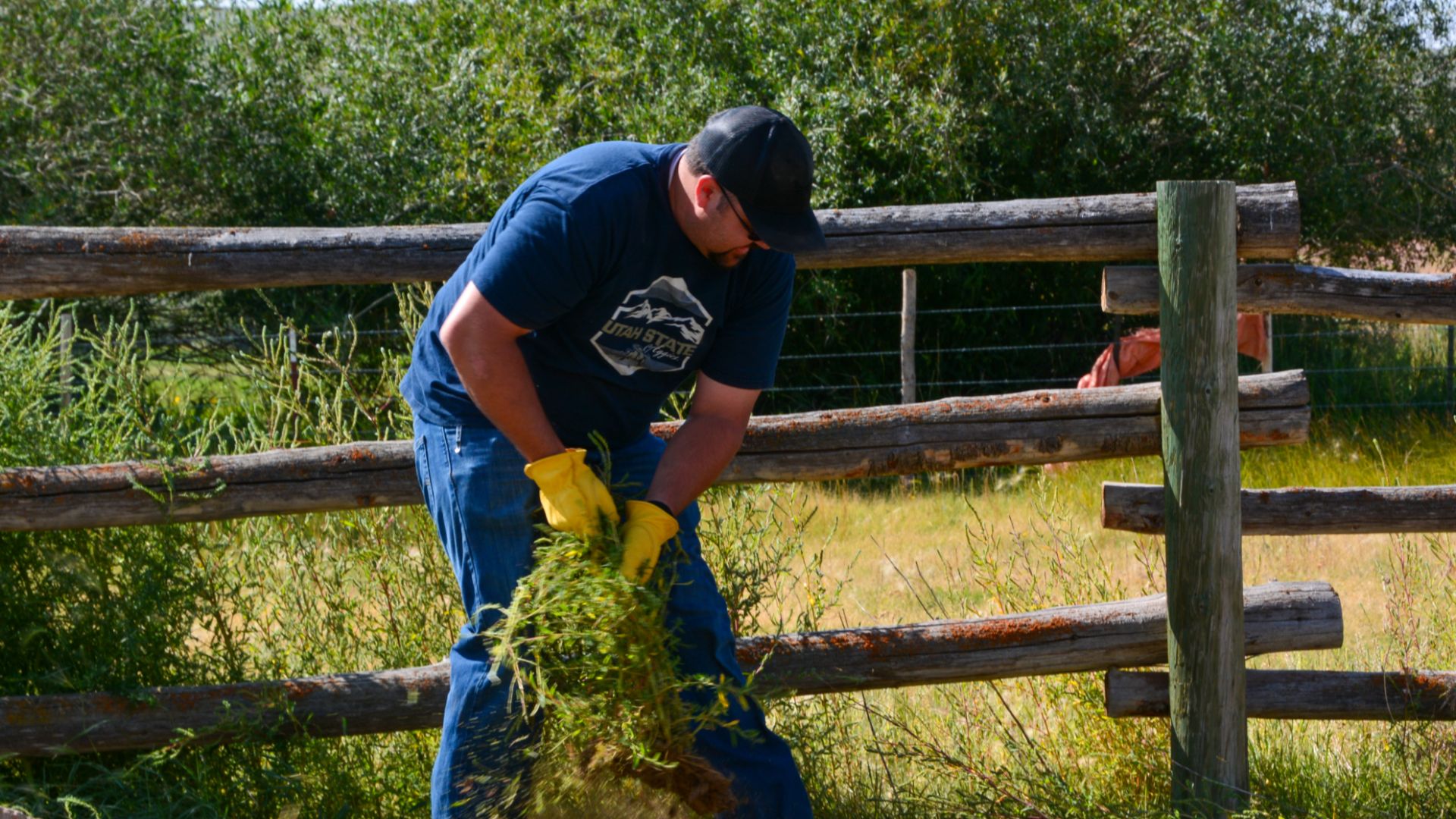 Little Creek Campground Cleanup 8-30-2023 
Rich County, UT
Person cleans overgrowth away from fenceline

Photos by: Jonathan Mallory, Public Affairs Specialist, UT State Office