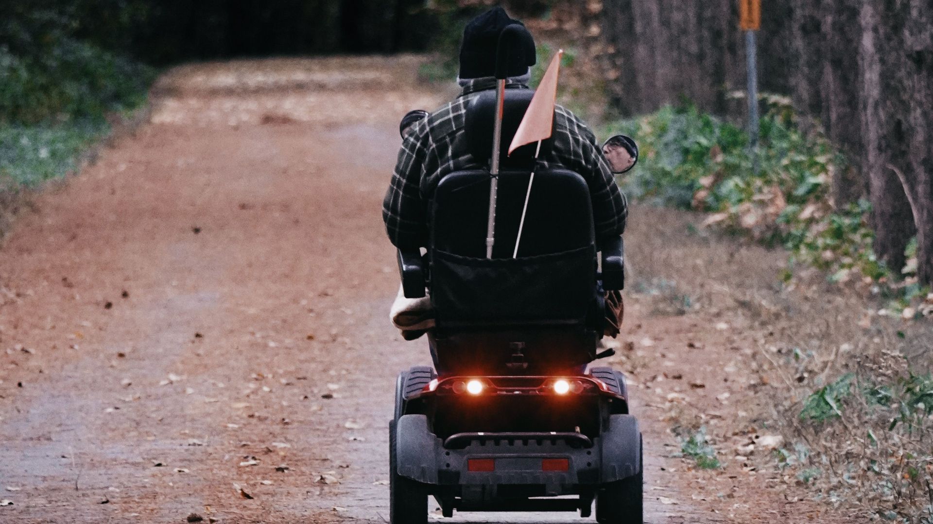 Elderly person riding a mobility scooter along a forest path, embracing nature.