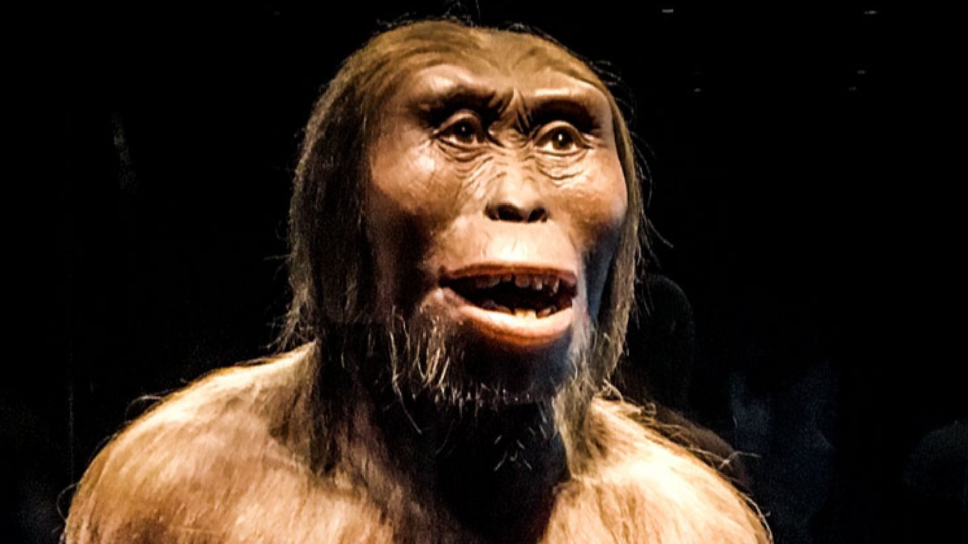 Cálida bienvenida al Museo de Antropología e Historia por parte de Lucy