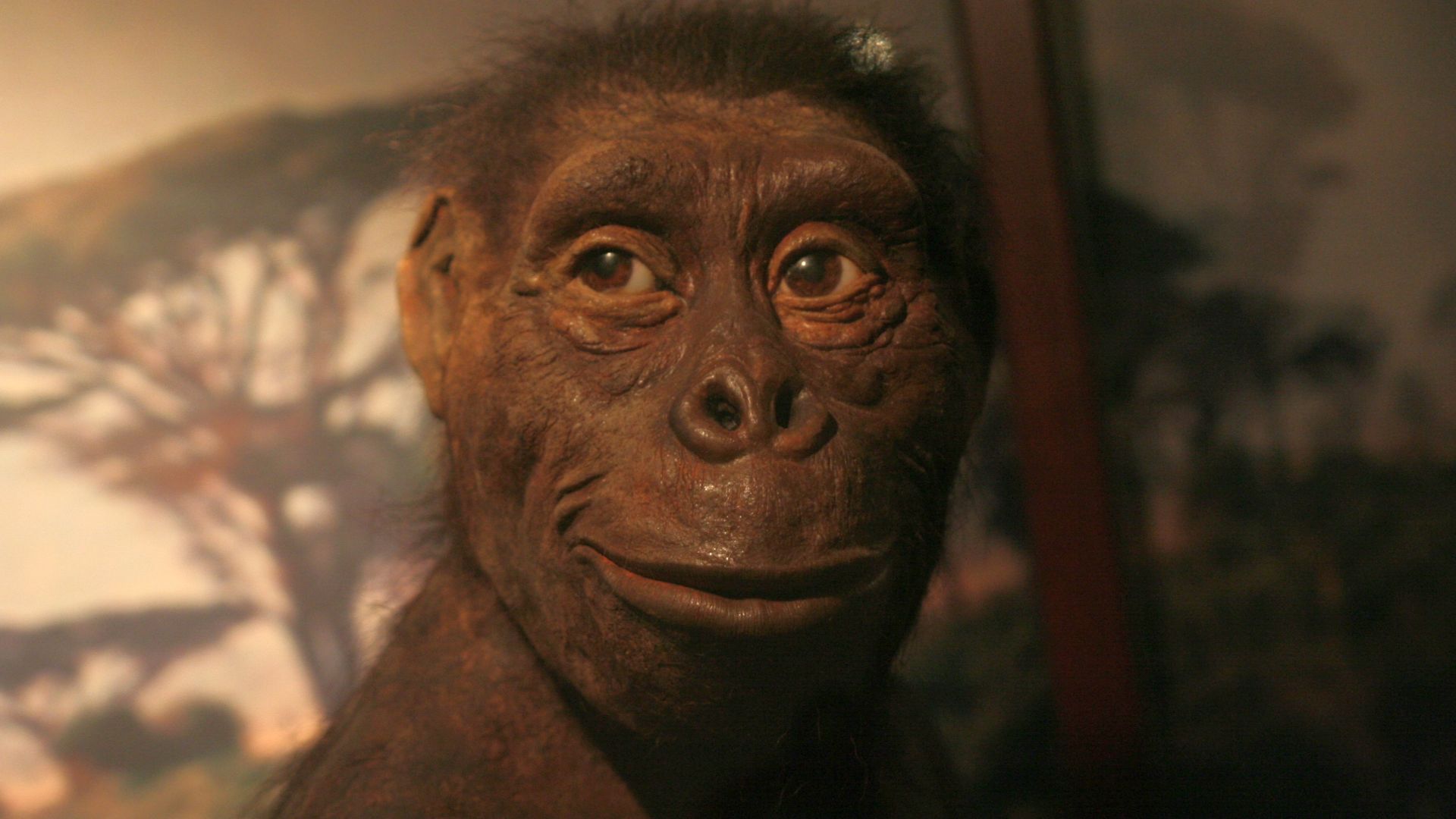 Reconstruction of