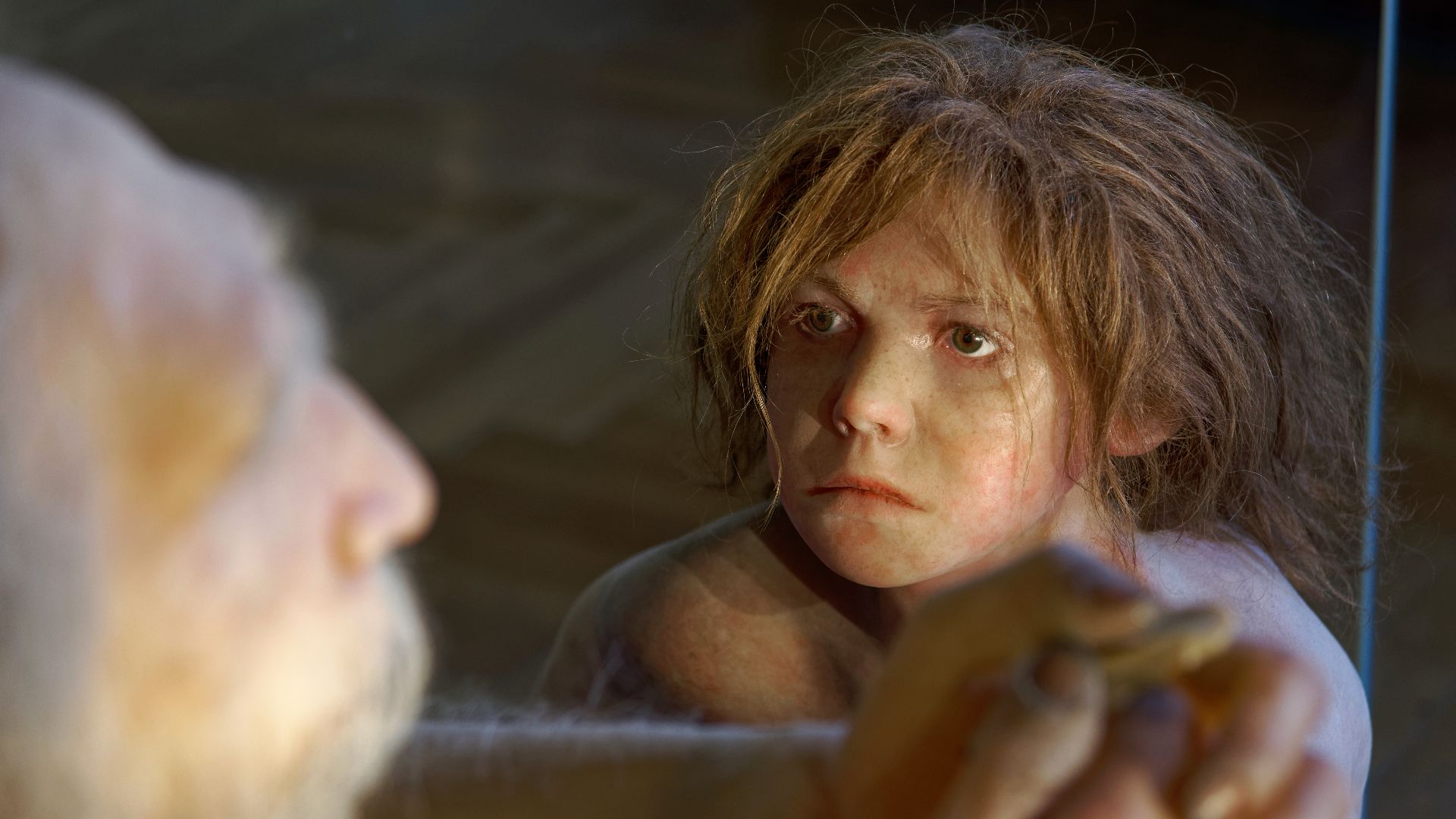 Model of Homo neanderthalensis child in The Natural History Museum, Vienna