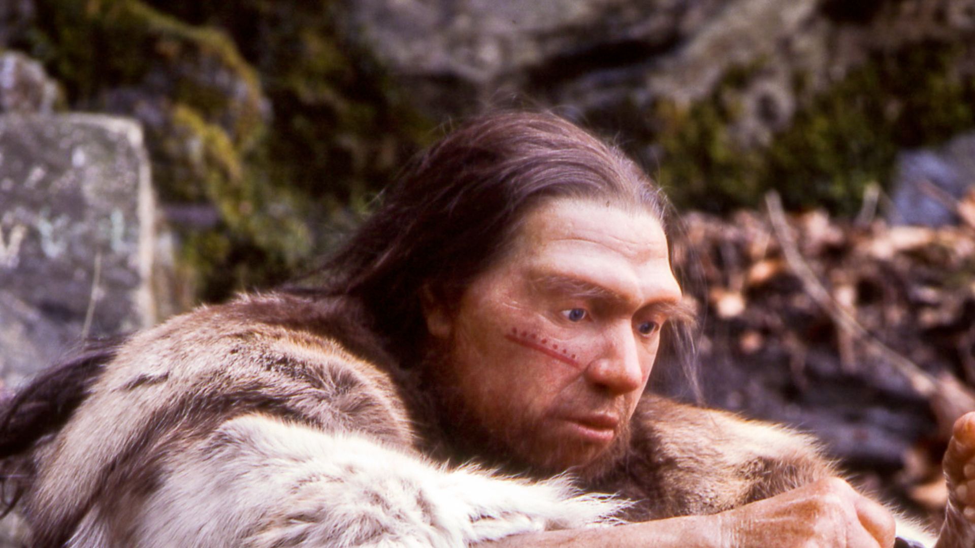 Lebend-Rekonstruktion im Neanderthal-Museum (Erkrath, Mettmann) eines Homo sapiens neanderthalensis-Jägers
