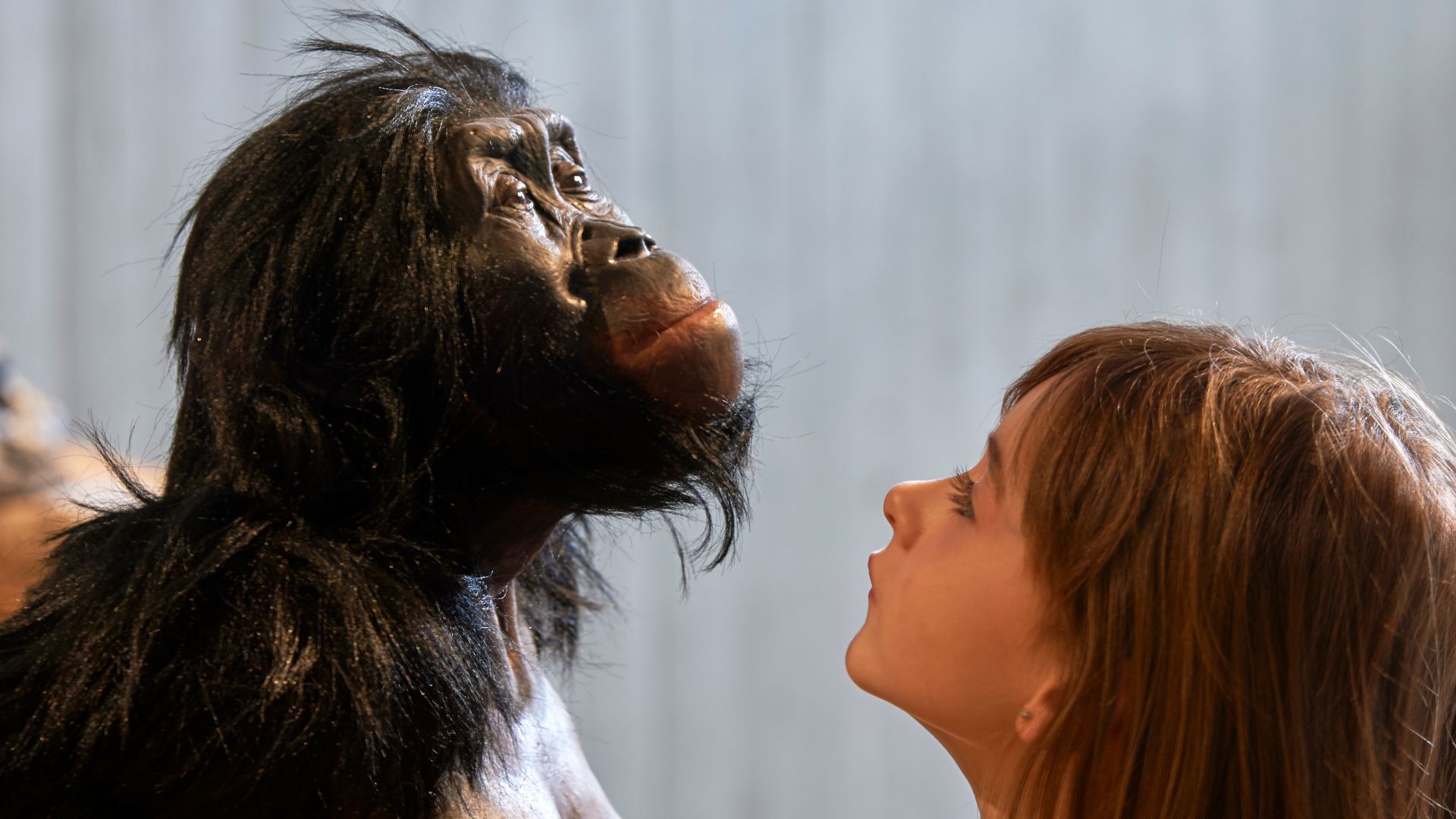 Lebend-Rekonstruktion im Neanderthal-Museum (Erkrath, Mettmann) eines Australopithecus afarensis (Fund genannt „Lucy“) mit Mädchen (Ausschnitt vom Originalfoto), Fundort Hadar Äthiopien