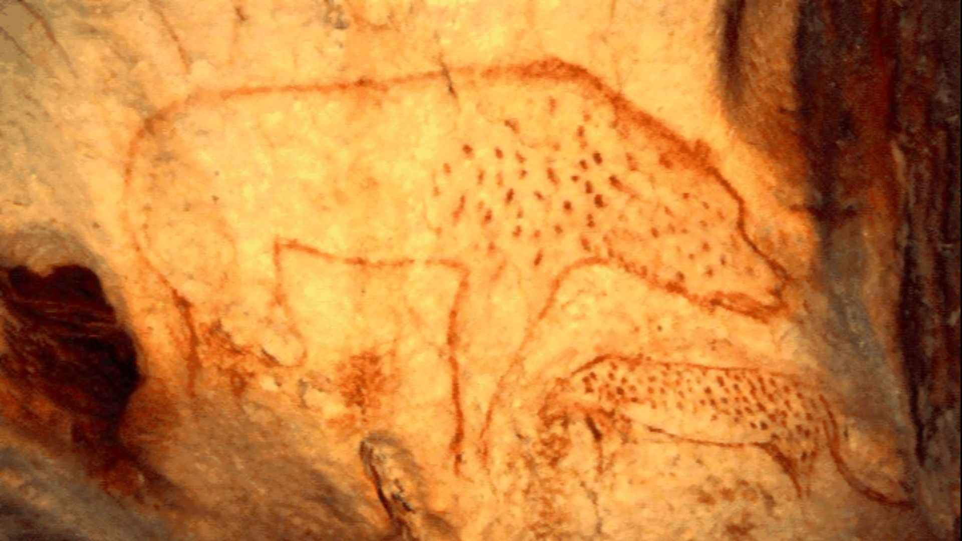 Cave hyena (Crocuta crocuta spelaea) painting found in the Chauvet cave and made public on January 17, 1995, by the Minister of Culture Jacques Toubon (Source: Gutenberg.org) ; now known to be 32,000 year old.