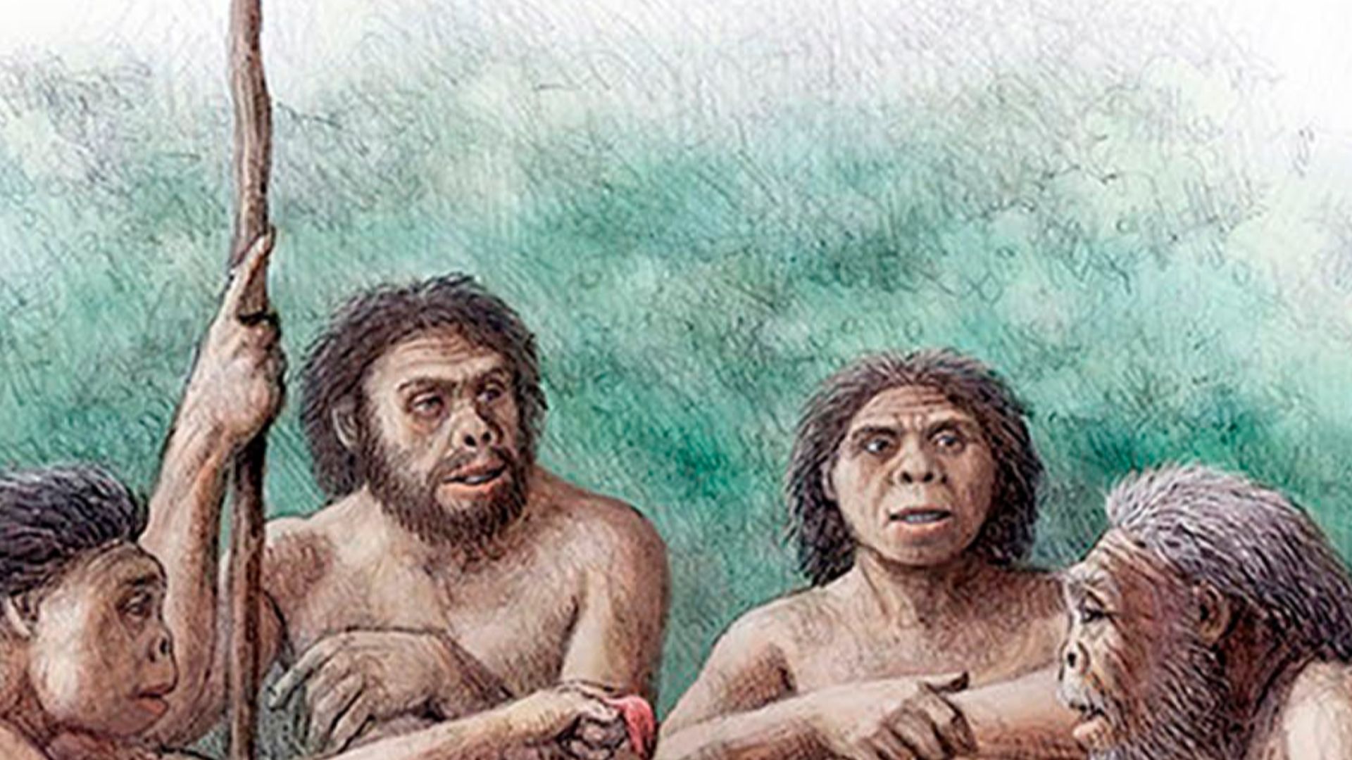 Altruistic behaviour of a group of Homo erectus sharing food with an individual who lived several years without teeth (as evidenced by edentulous skull D3444 and associated mandible D3900). This severe masticatory impairment would limit the diet of the in