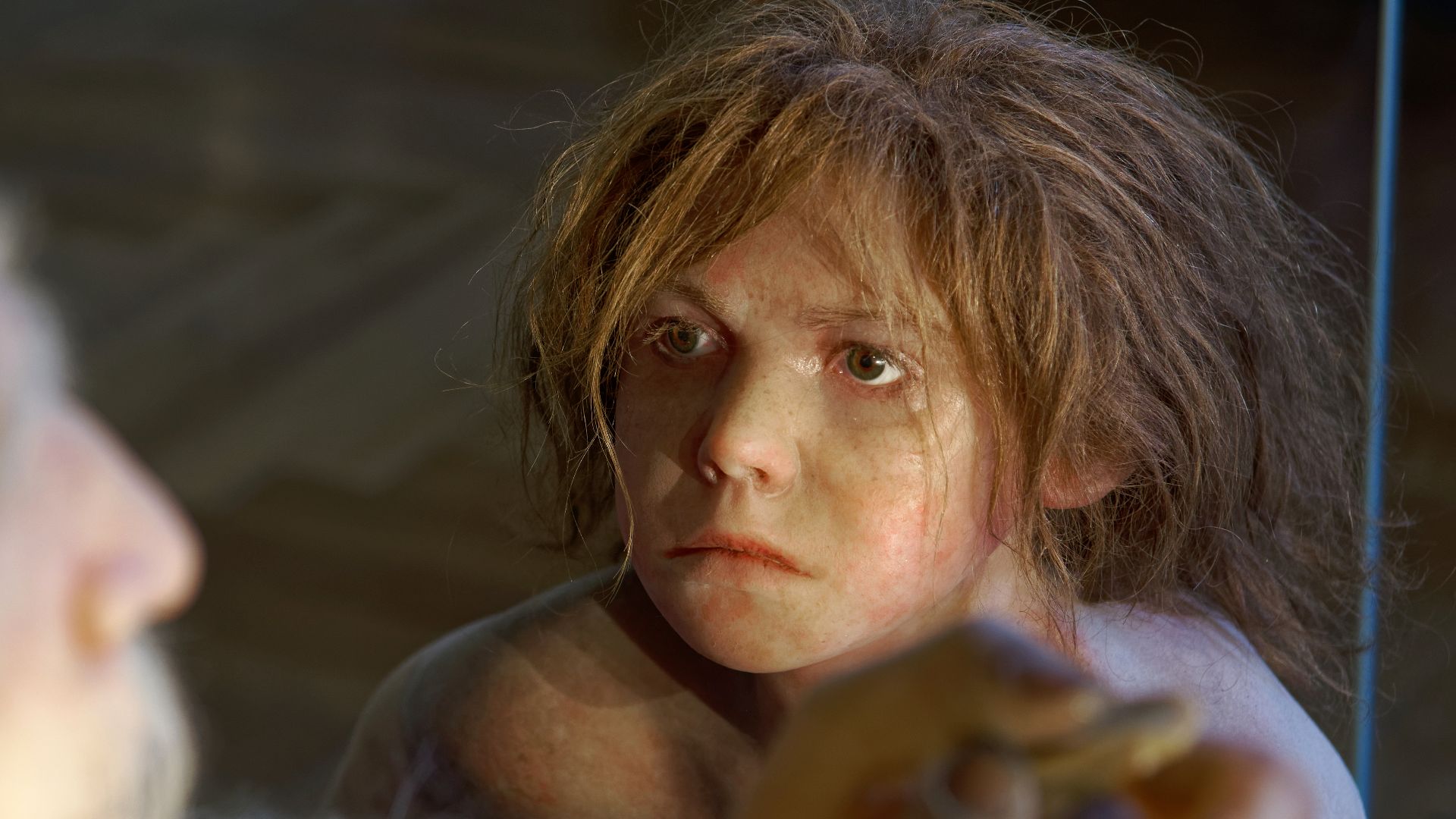 Model of Homo neanderthalensis child in The Natural History Museum, Vienna