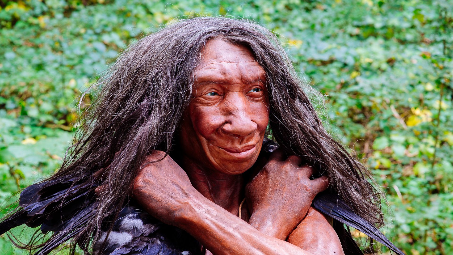 Lebend-Rekonstruktion im Neanderthal-Museum (Erkrath, Mettmann) eines Homo sapiens neanderthalensis (Ausschnitt des Originalfotos), Fundort Gibraltar