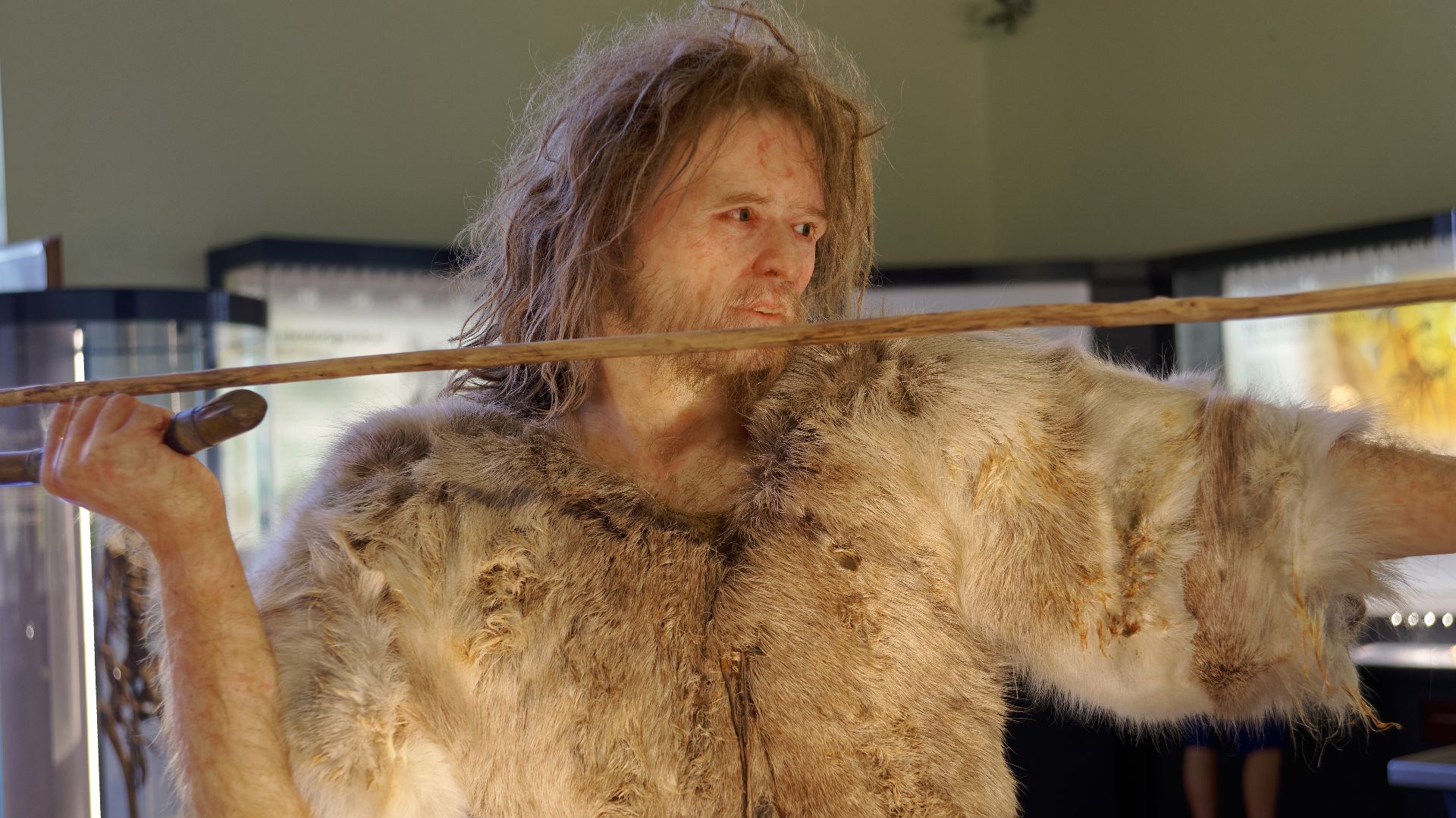Model of Cro-Magnon 1, Homo Sapiens man in The Natural History Museum, Vienna