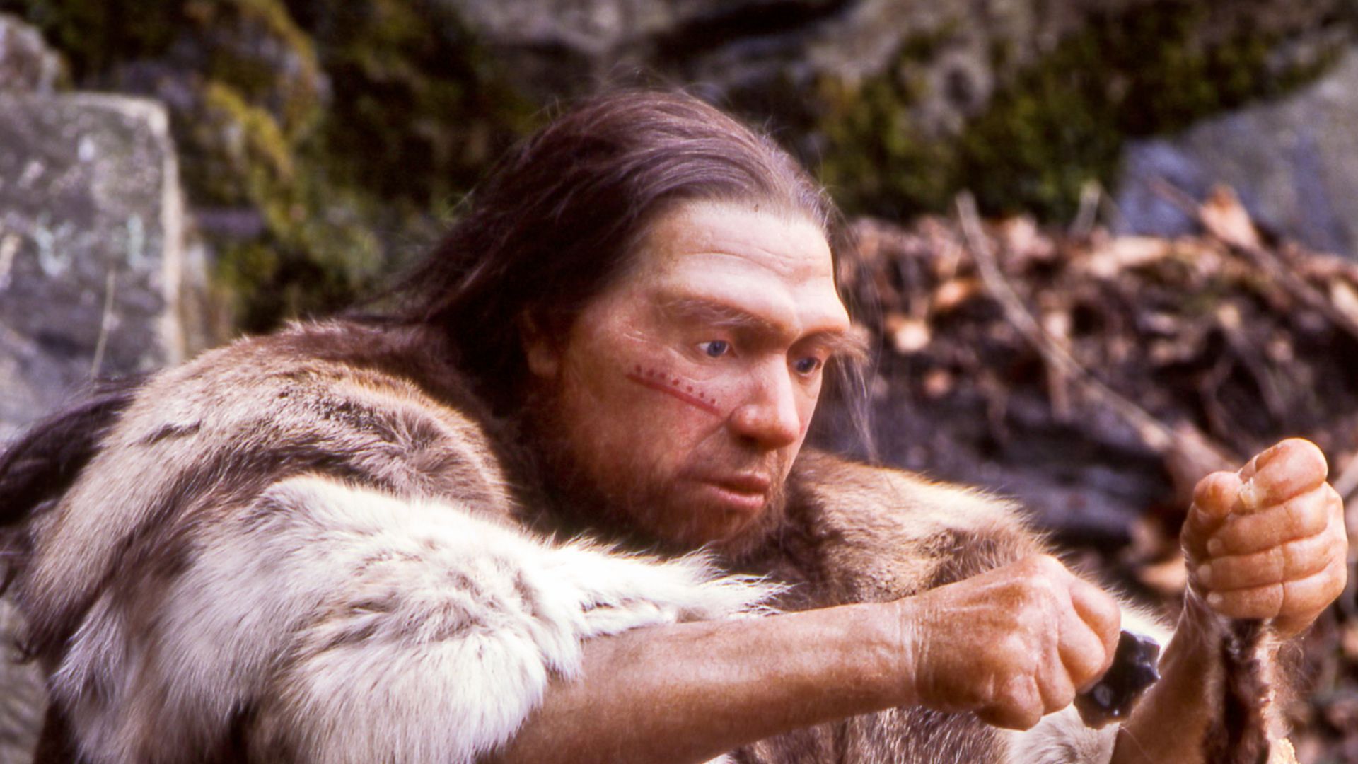 Lebend-Rekonstruktion im Neanderthal-Museum (Erkrath, Mettmann) eines Homo sapiens neanderthalensis-Jägers