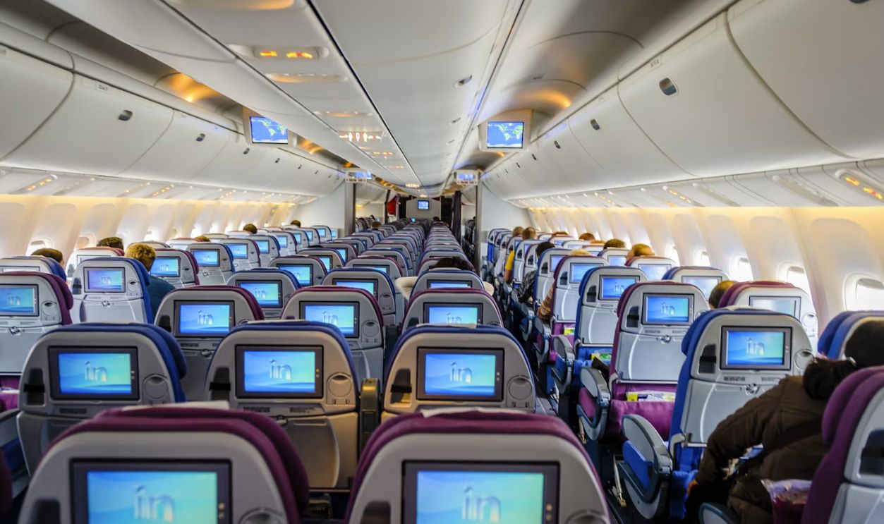 blue and white airplane seats