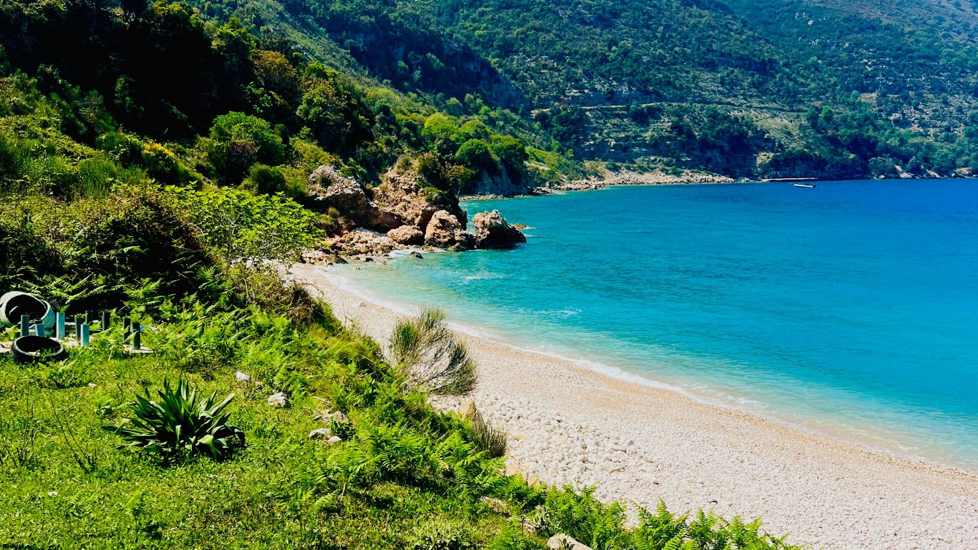 Explore the scenic Albanian coastline with vibrant blue waters and lush greenery.