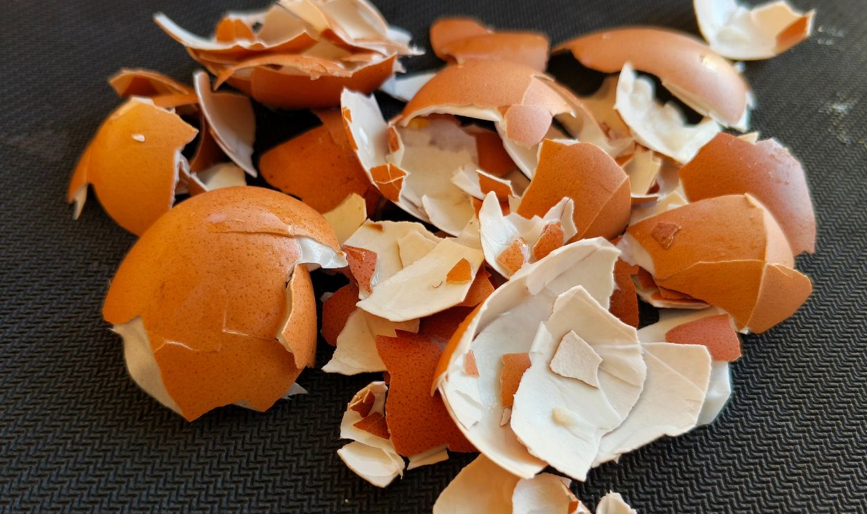 Close up of broken brown eggshell fragments scattered on dark textured surface. Natural organic food waste concept with rustic aesthetic and macro photography style.