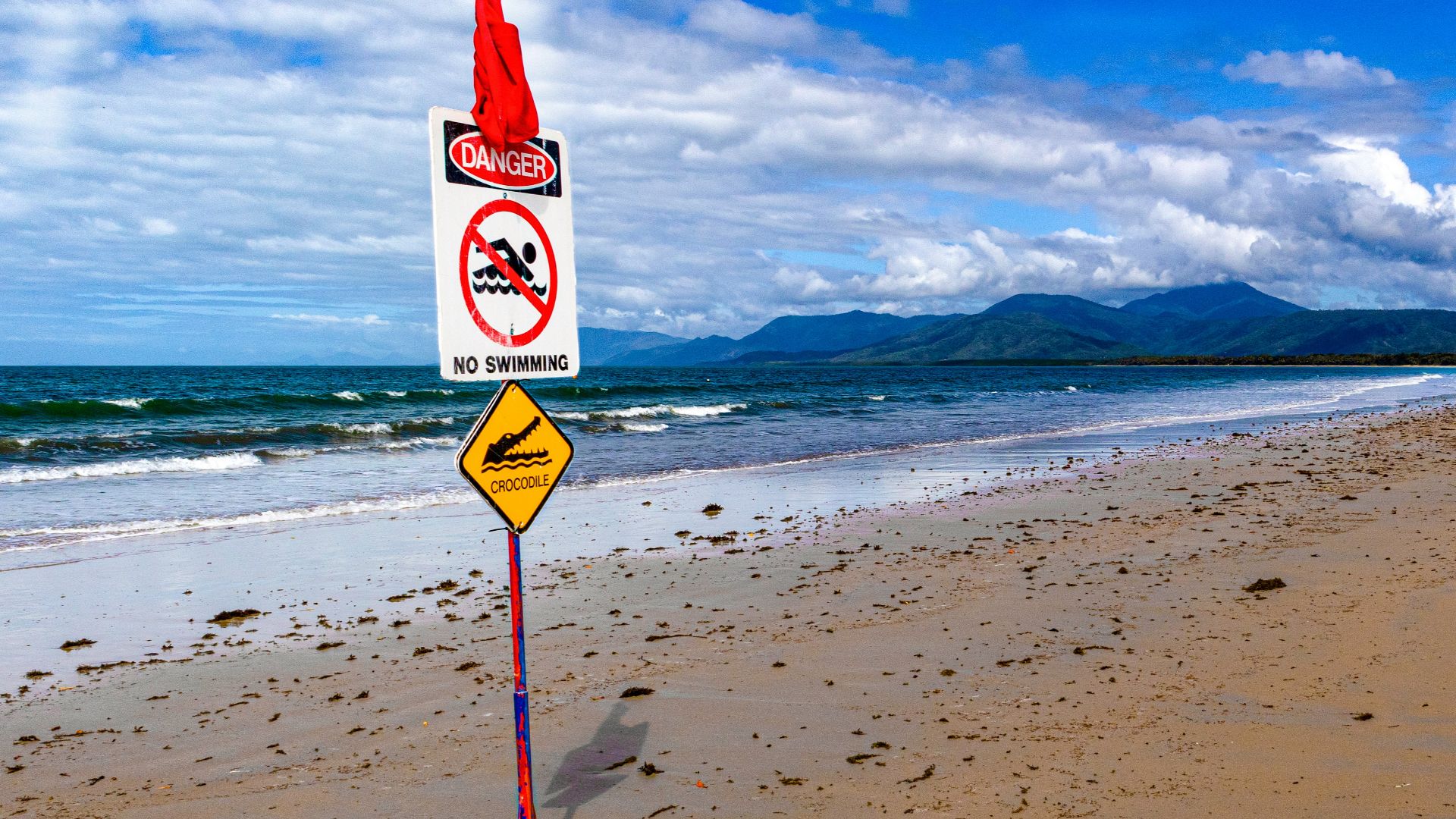red and white stop sign on beach during daytime