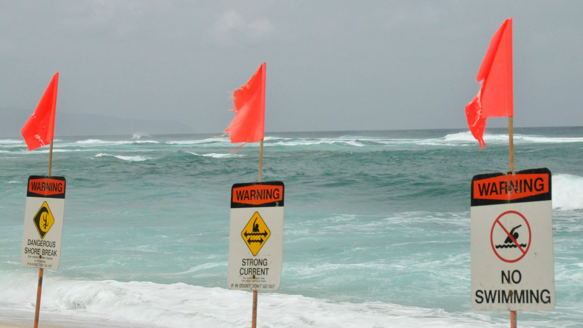 red and white flag on beach during daytime