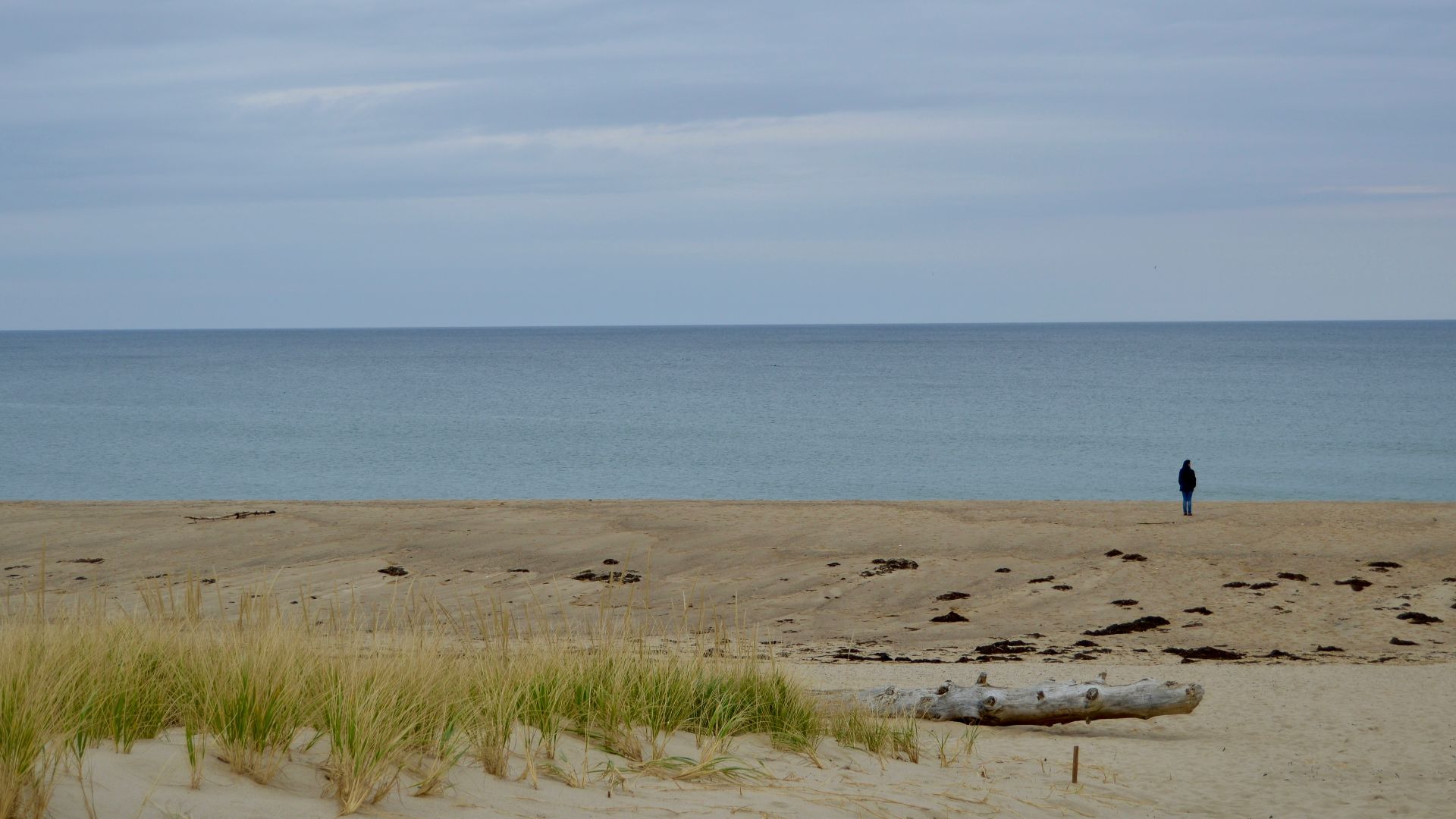 people on beach during daytime