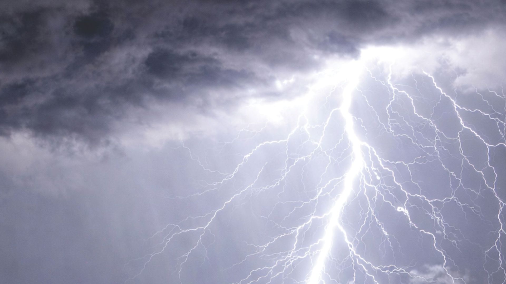 A vivid lightning strike illuminates the night sky over Palmas, Tocantins, Brazil.