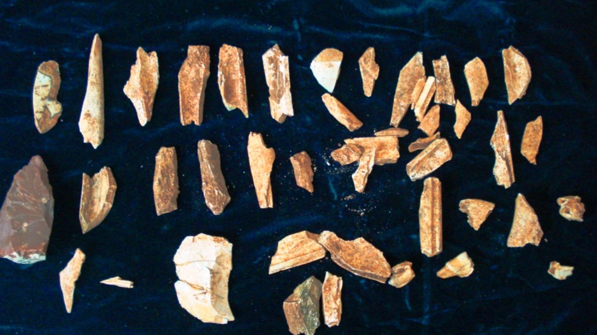 Paleolithic Tools and Bones