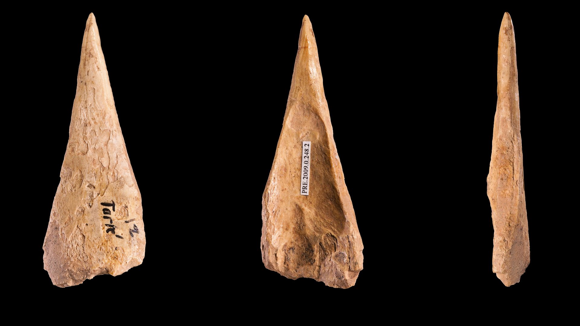 Awl on  bone sliver - Different views of the same specimen