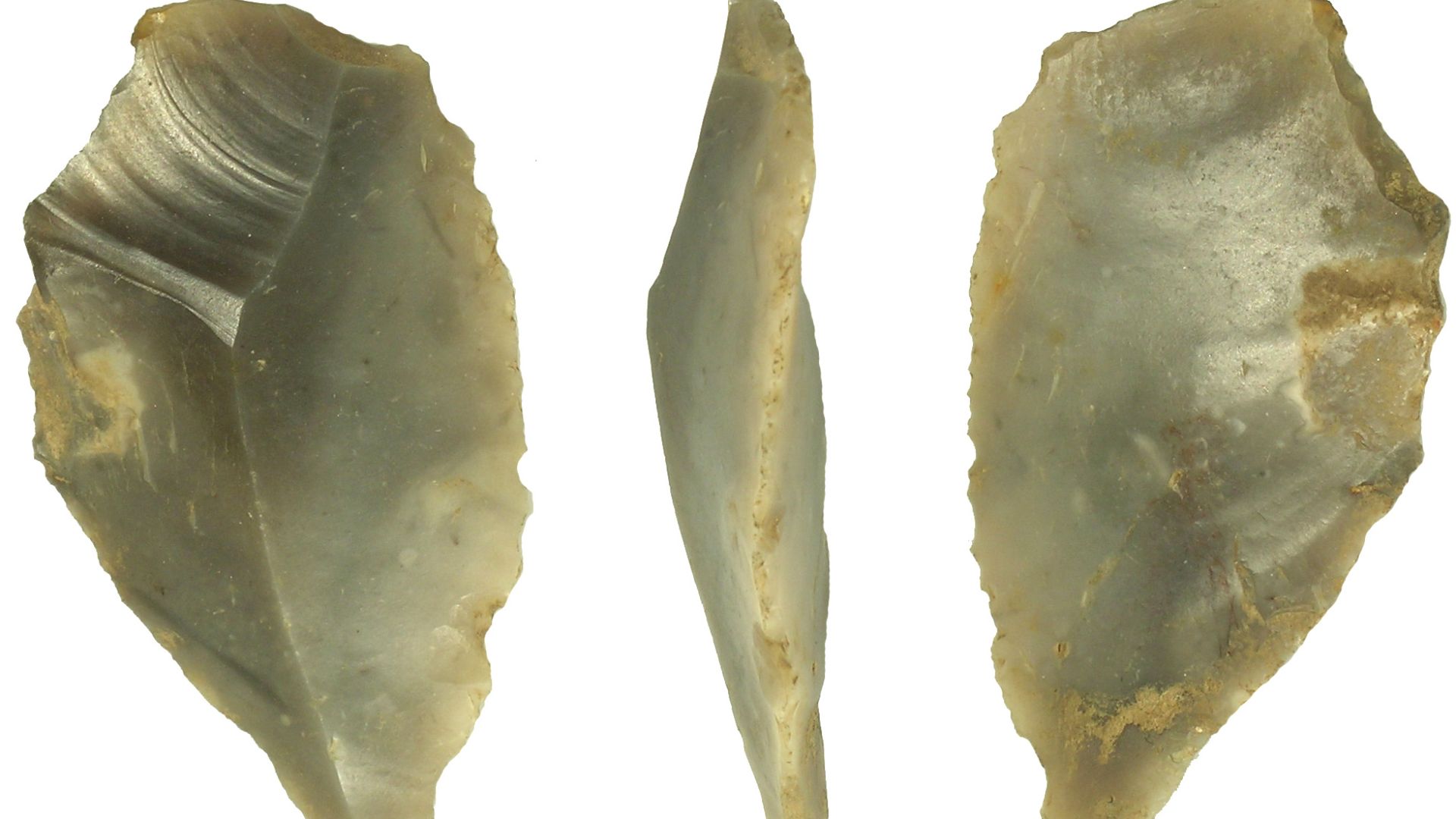 A re-touched flint flake of probable Neolithic date.
The tool has been made from a roughly drop-shaped flake. The dorsal surface has a central vertical arrise which splits into a V-shape towards the proximal end. Most of the re-touching has taken place on