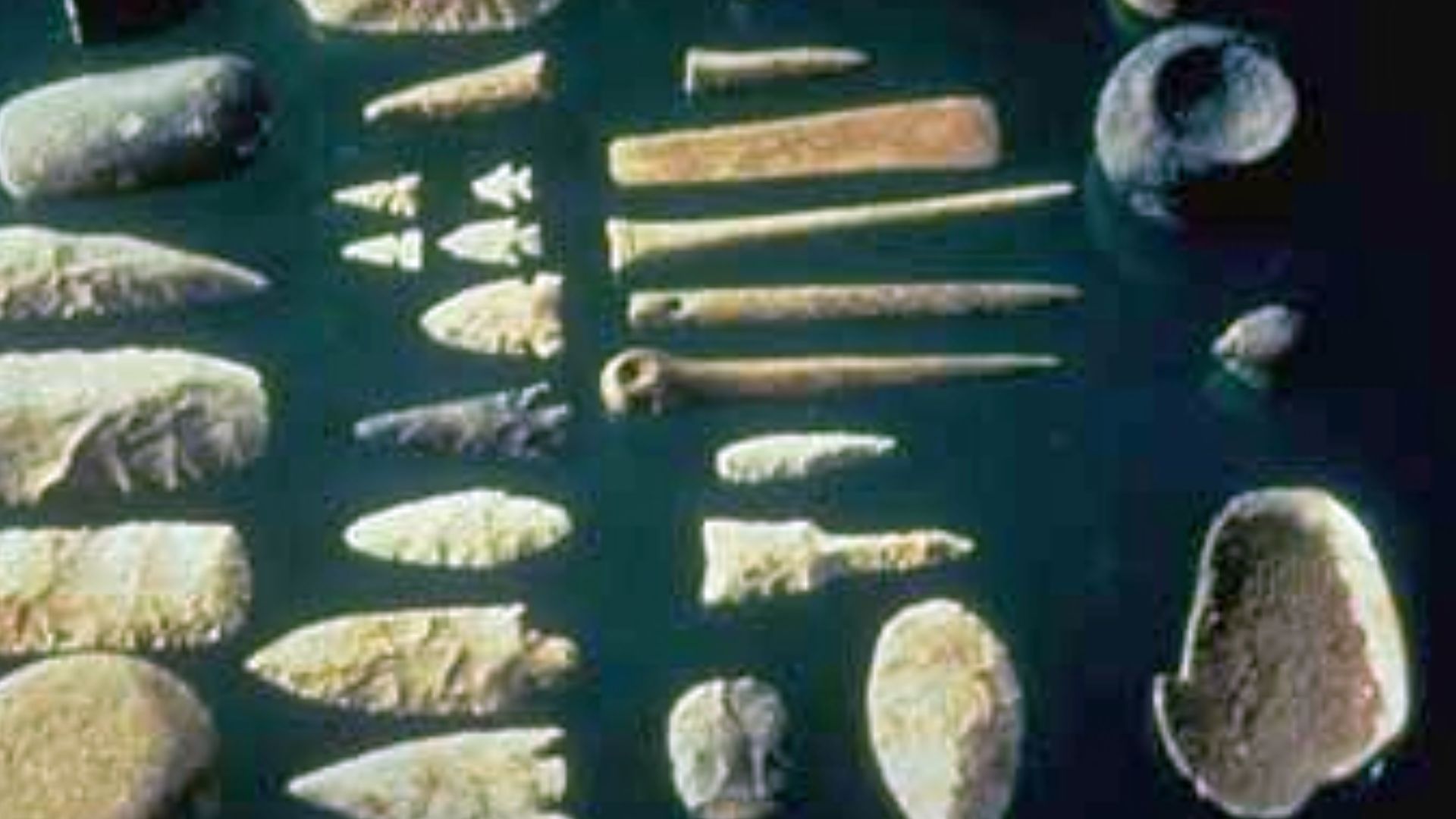 A variety of tools made of mussel shells.[1]