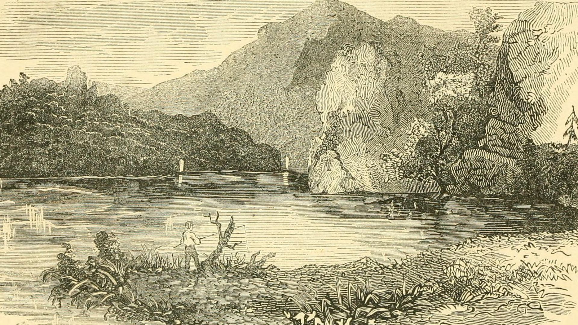 Identifier: pictorialsketchb00elib (find matches)
Title: The pictorial sketch-book of Pennsylvania, or, Its scenery, internal improvements, resources, and agriculture, populary described
Year: 1852 (1850s)
Authors:  Bowen, Eli, b. 1824 Joseph Meredith Ton