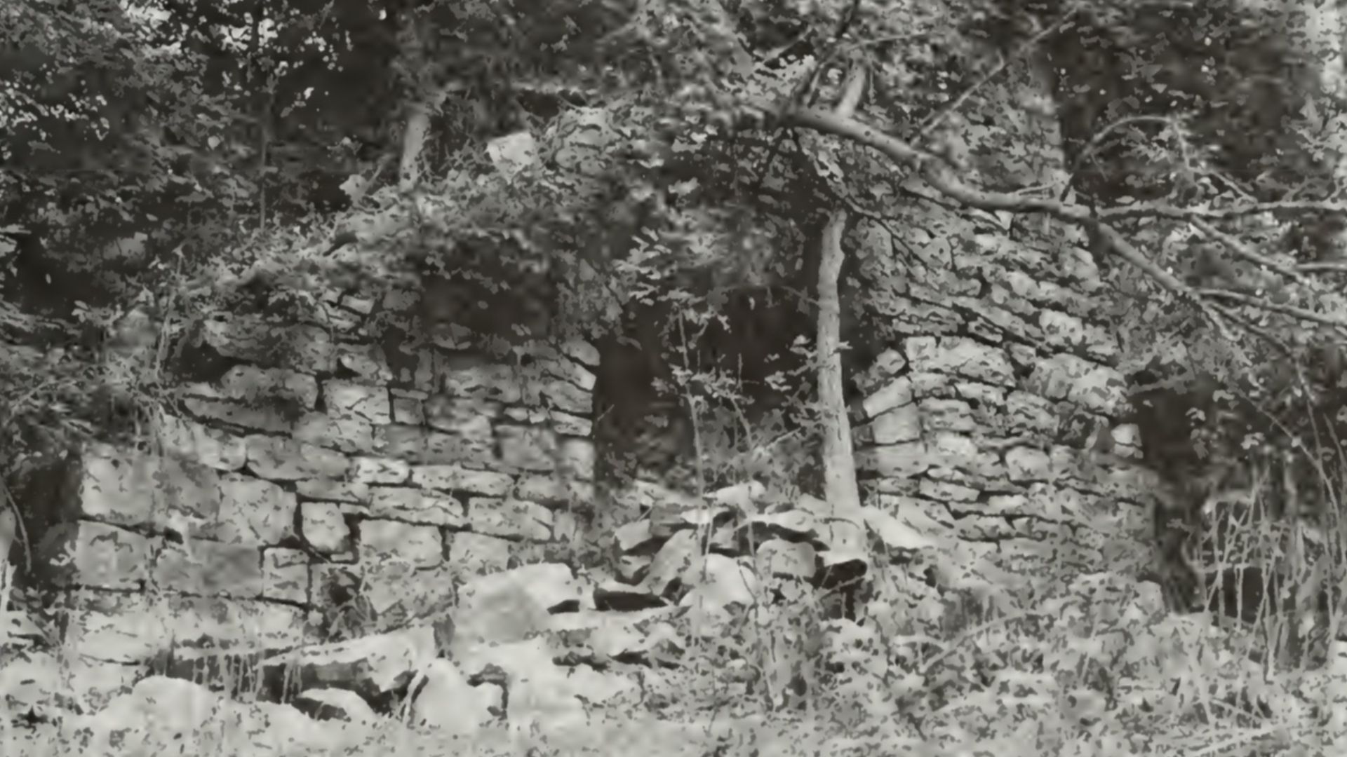 Remains of the Barre Furnace, Huntingdon County, Pennsylvania