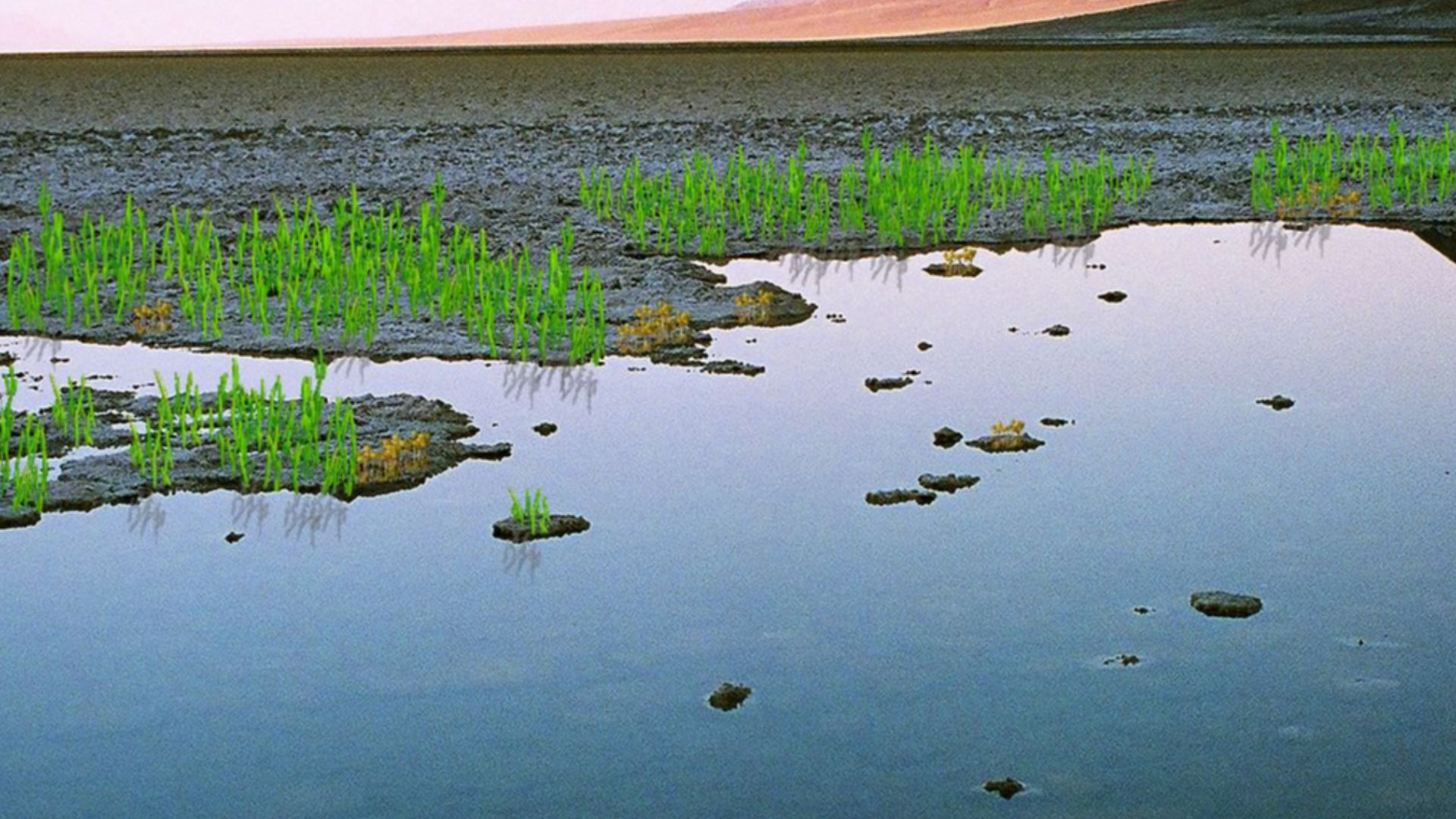 Modification of Wikimedia Commons Photo of Death Valley's Badwater Basin by Tahoenathan.
