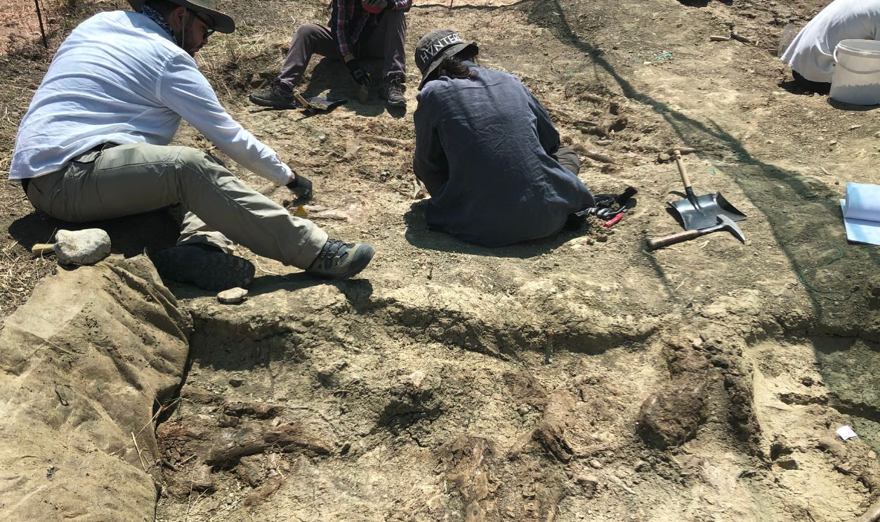 archeologist