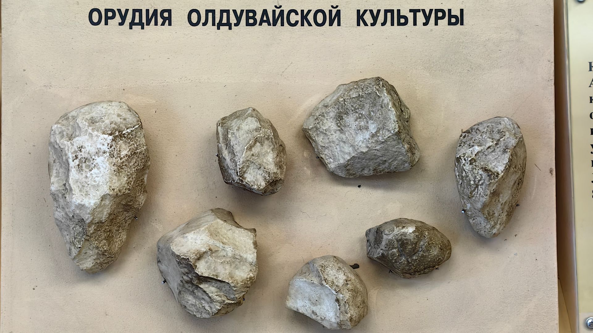 Tools of Oldowan culture