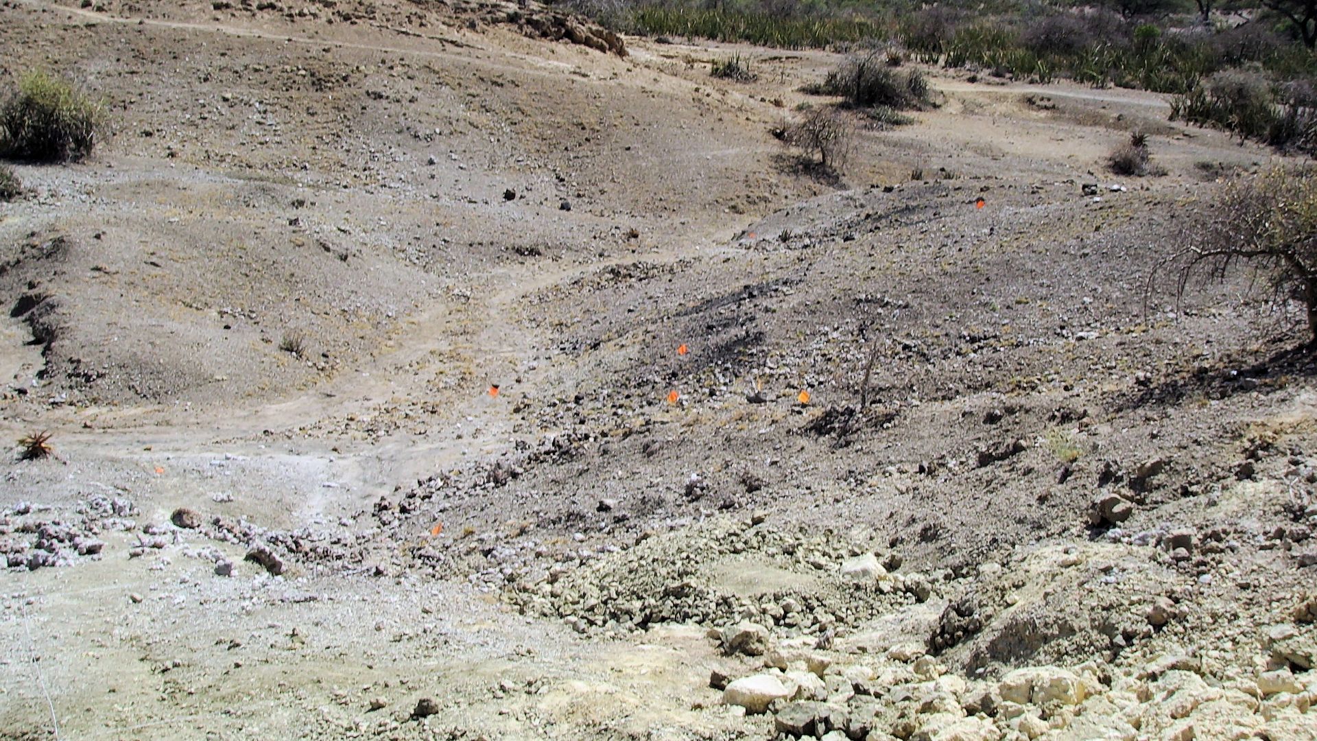 Olduvai Gorge, colored flags mark the sites of fossils