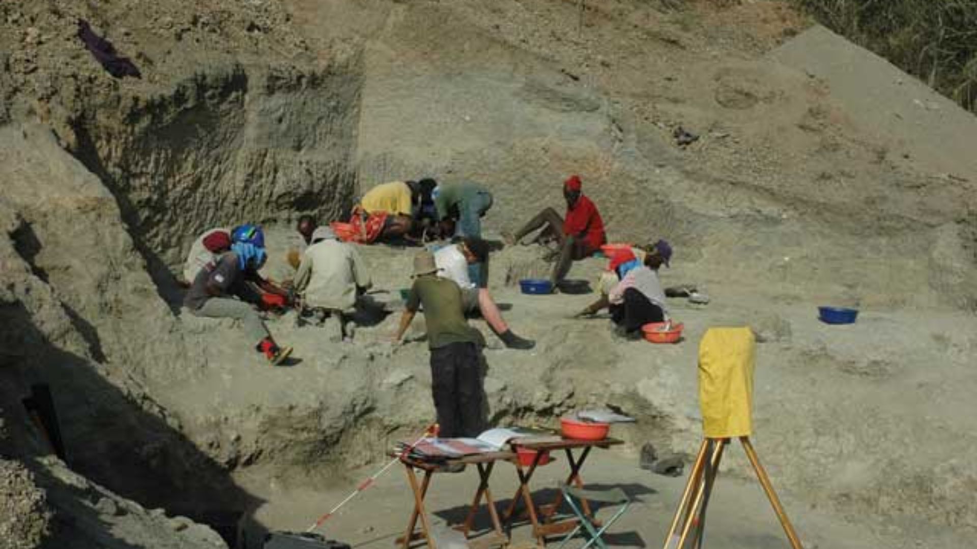 The Olduvai Geochronology and Archaeology Project’s excavations at Henrietta Wilfrida Korongo East East (HWKEE), an Oldowan site in the lower part of Middle Bed II.