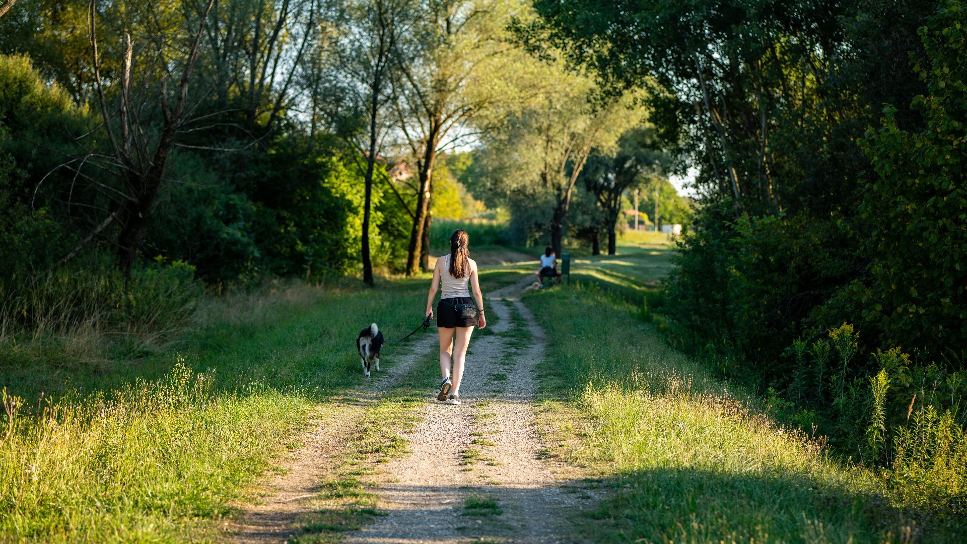 A woman strolls with her dog down a sunlit forest path, surrounded by lush greenery.