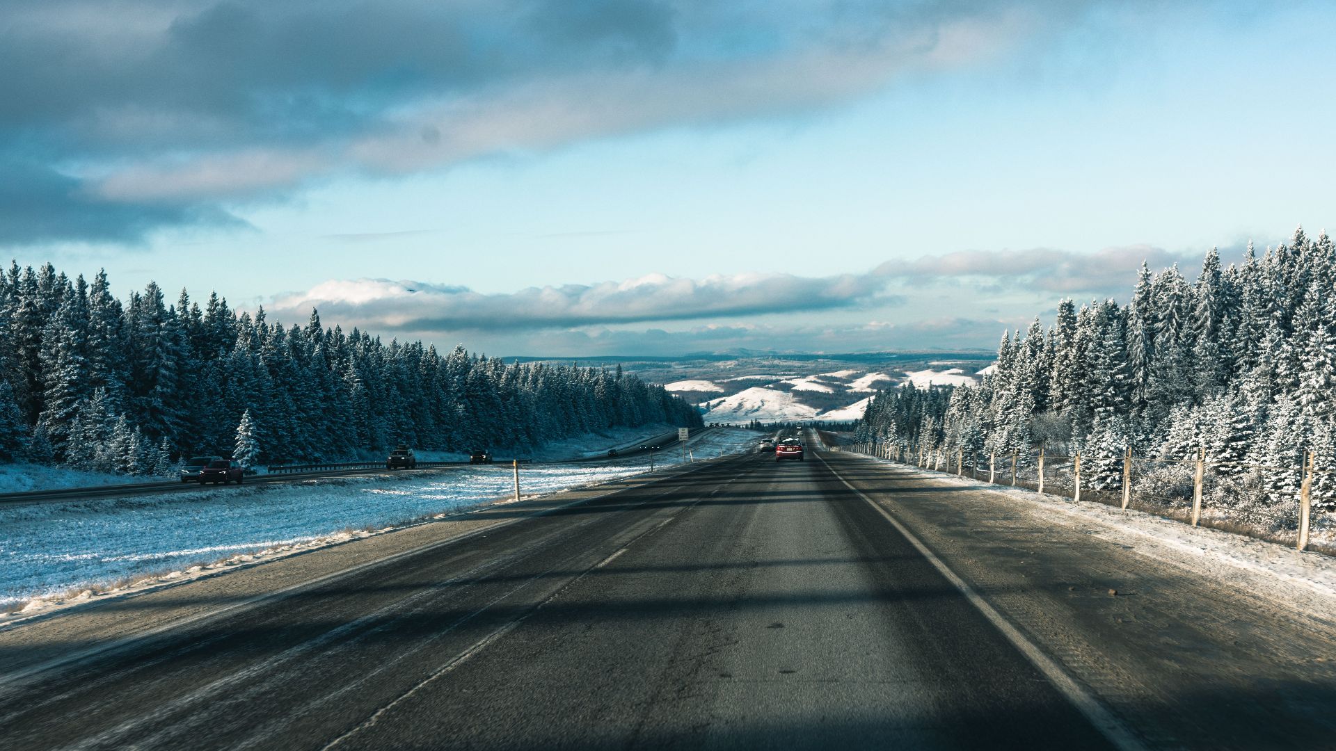 Snow-covered road through pine forest in Banff, capturing winter's beauty.