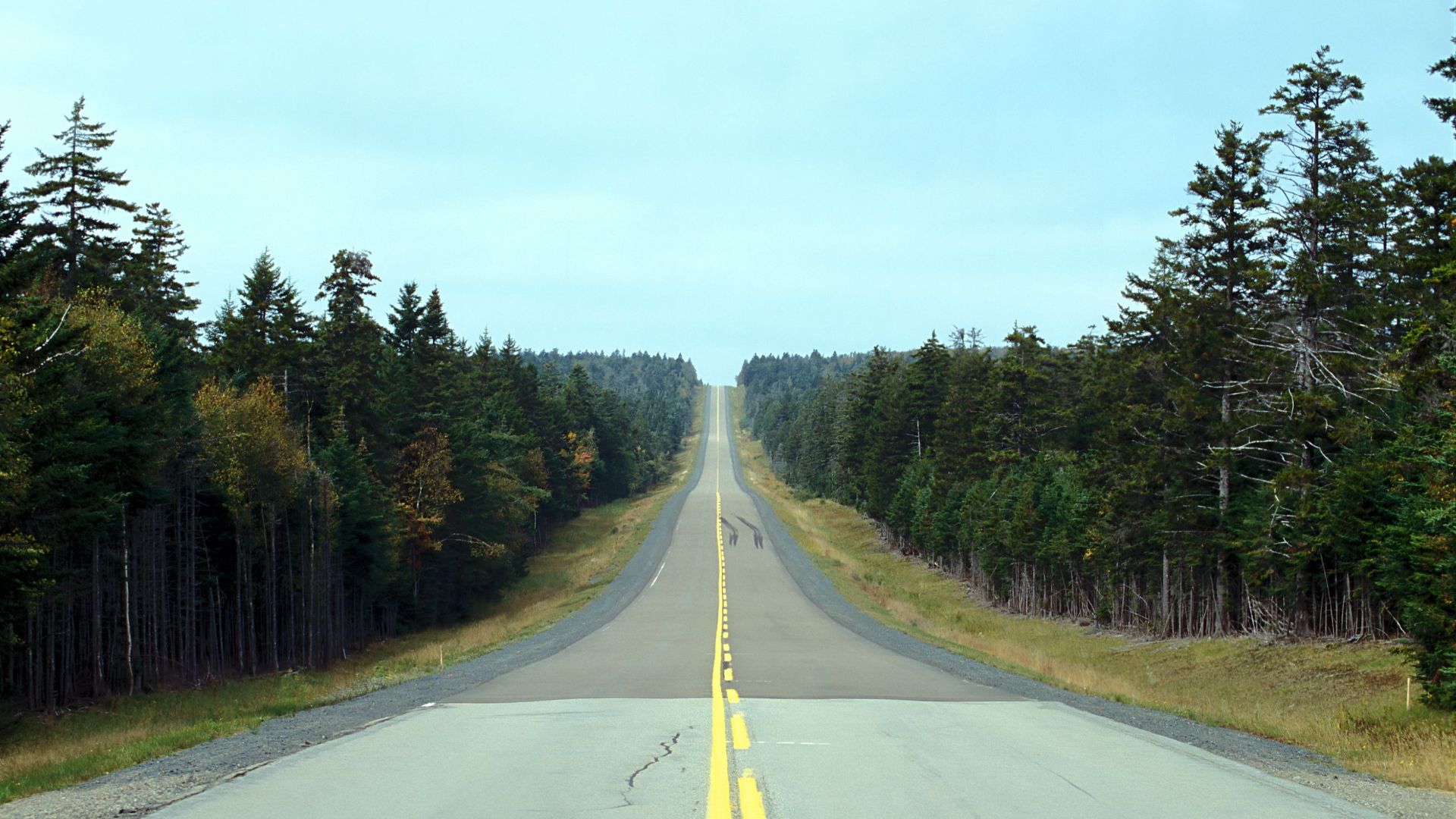 A straight road cuts through dense evergreen forests under a clear sky, suggesting isolation and adventure.