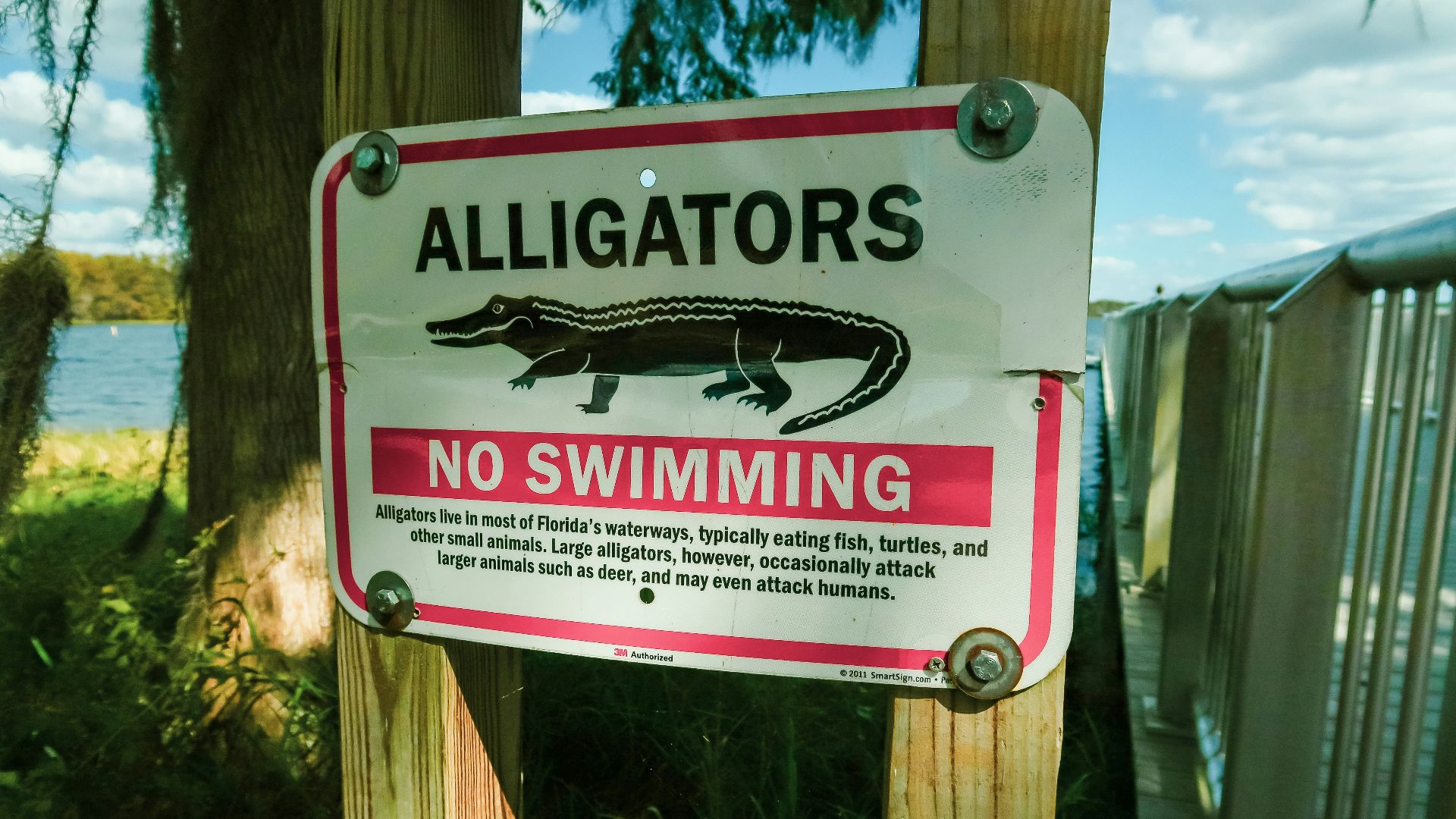 A sign warning of alligators in the water