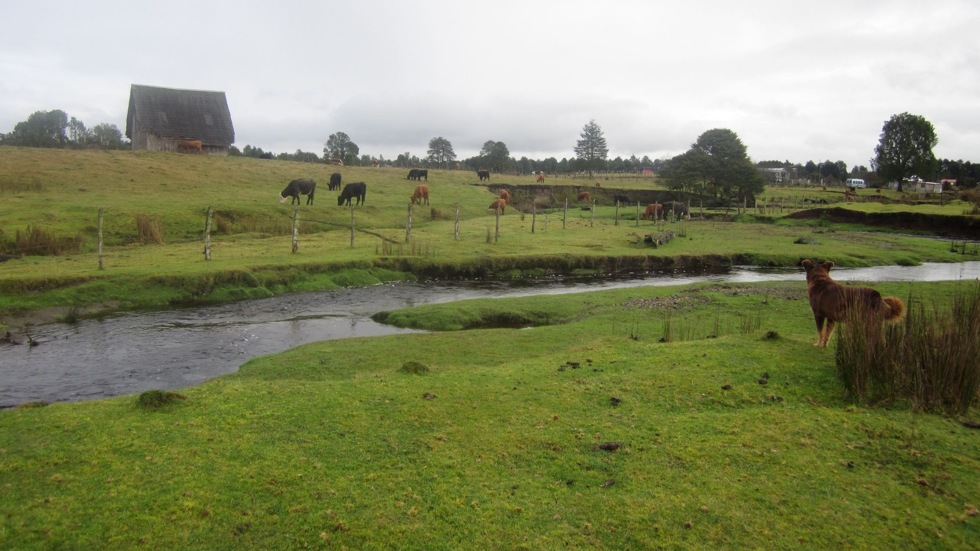 Vista del sitio de Monte Verde.