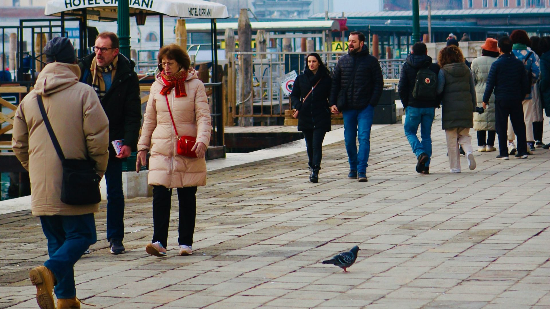a group of people walking down a street next to a bird