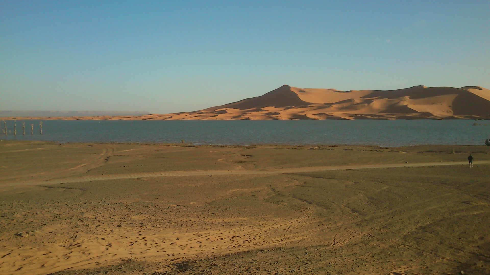 Sahara after intense rain